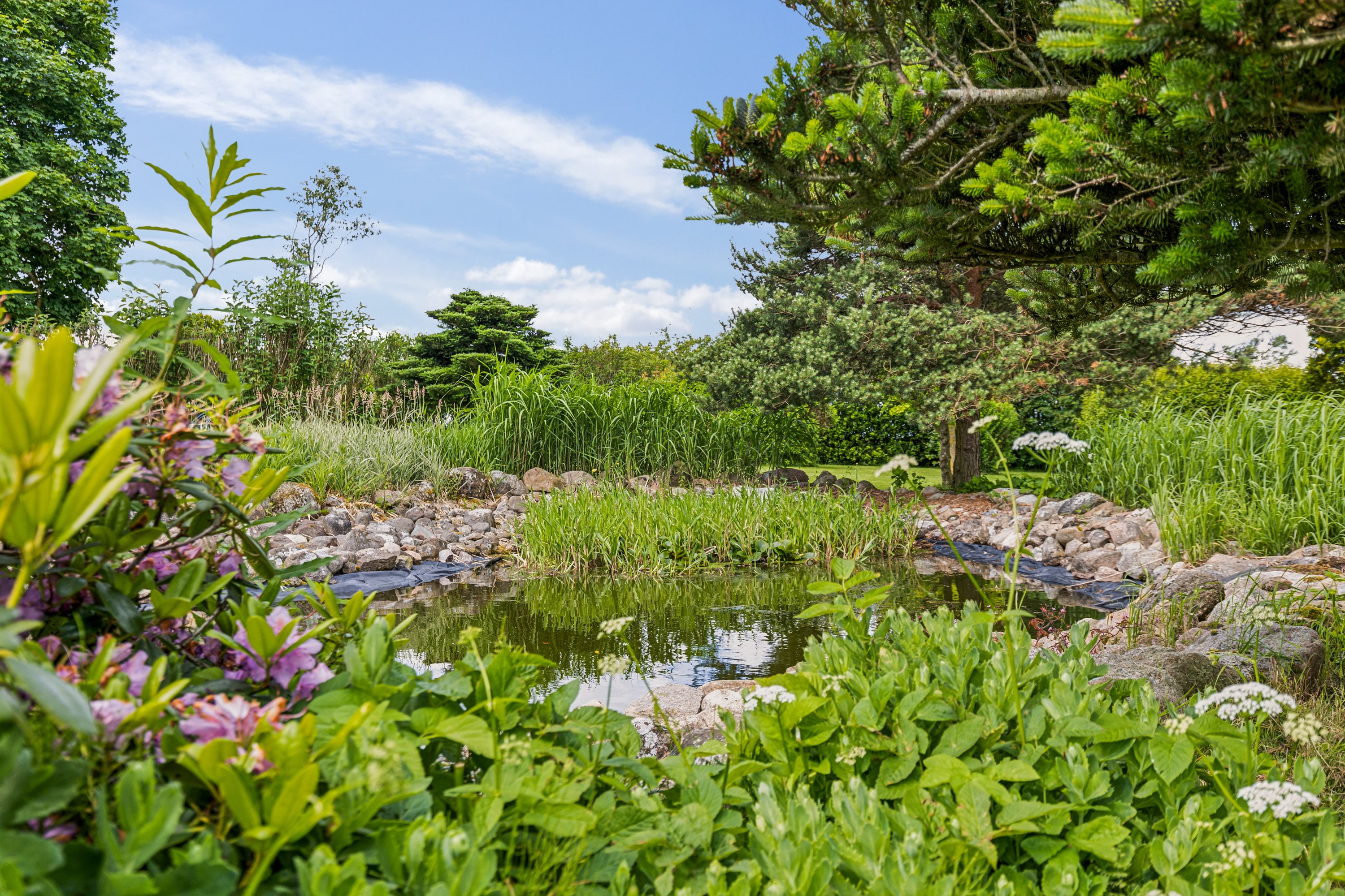 Fremhævet have billede i fuldskærmstilstand. Billede af Hyllerødvej 4A, 8783 Hornsyld