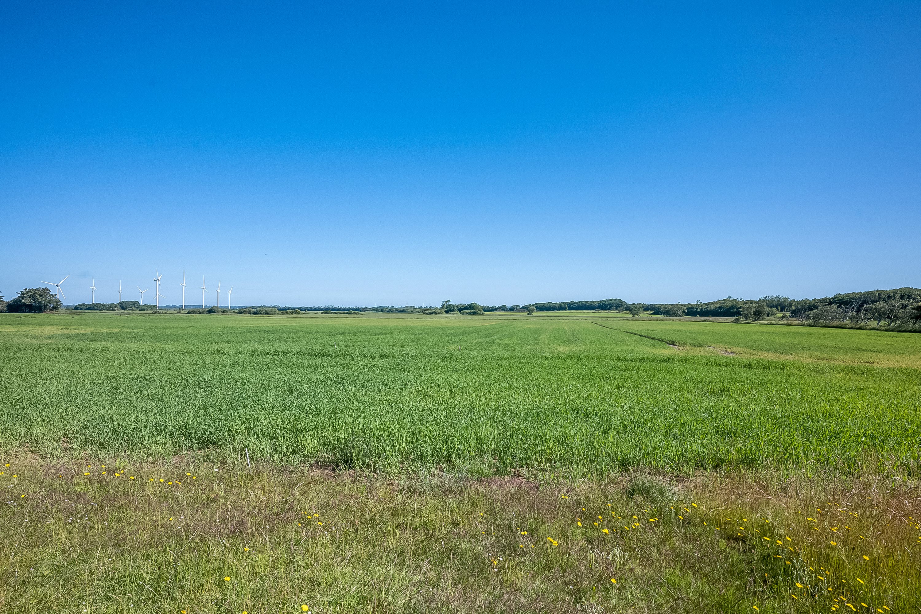 Fremhævet område billede i fuldskærmstilstand. Billede af Bredgade 15A, 6940 Lem St