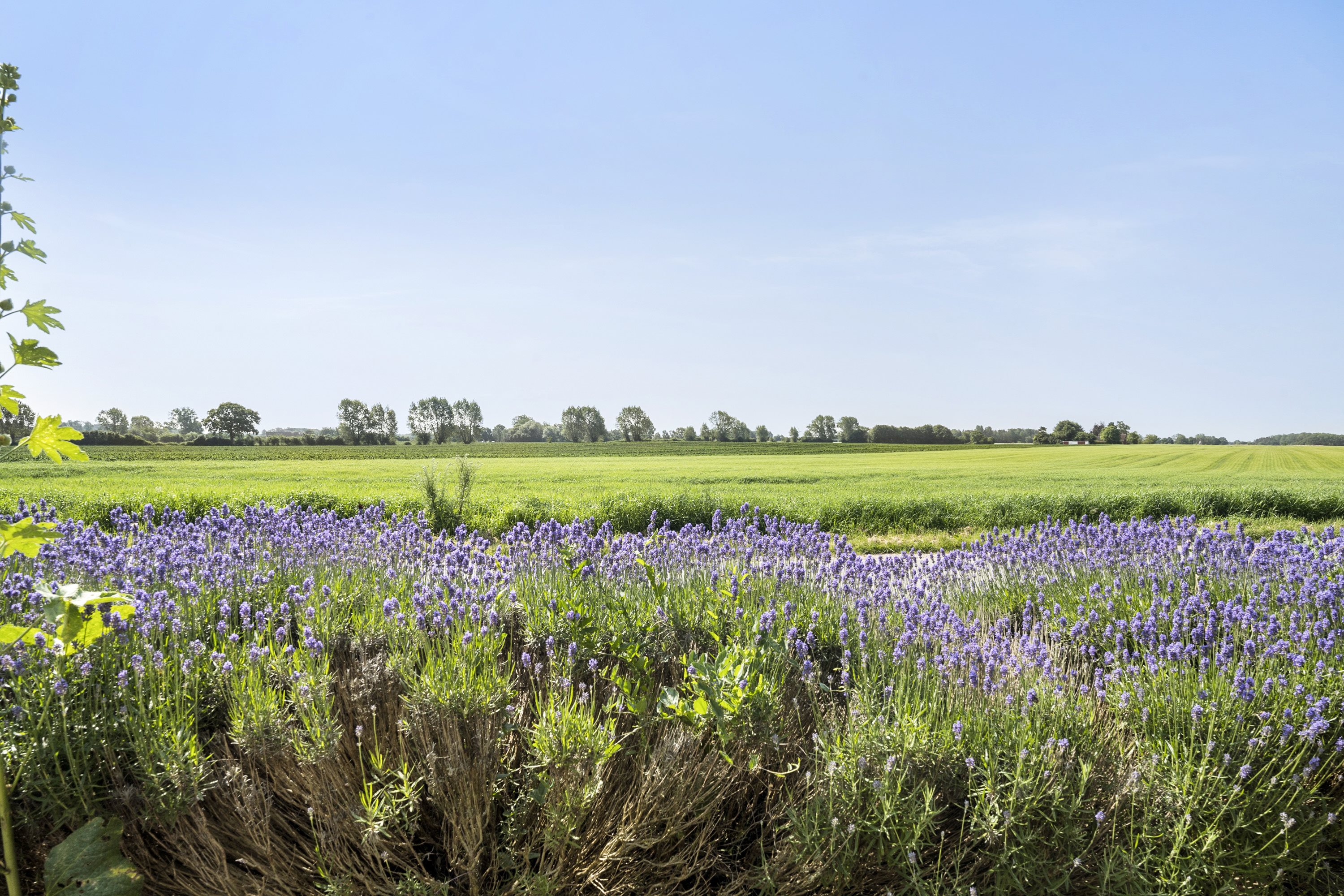 Fremhævet område billede i fuldskærmstilstand. Billede af Lundevej 11, 5540 Ullerslev