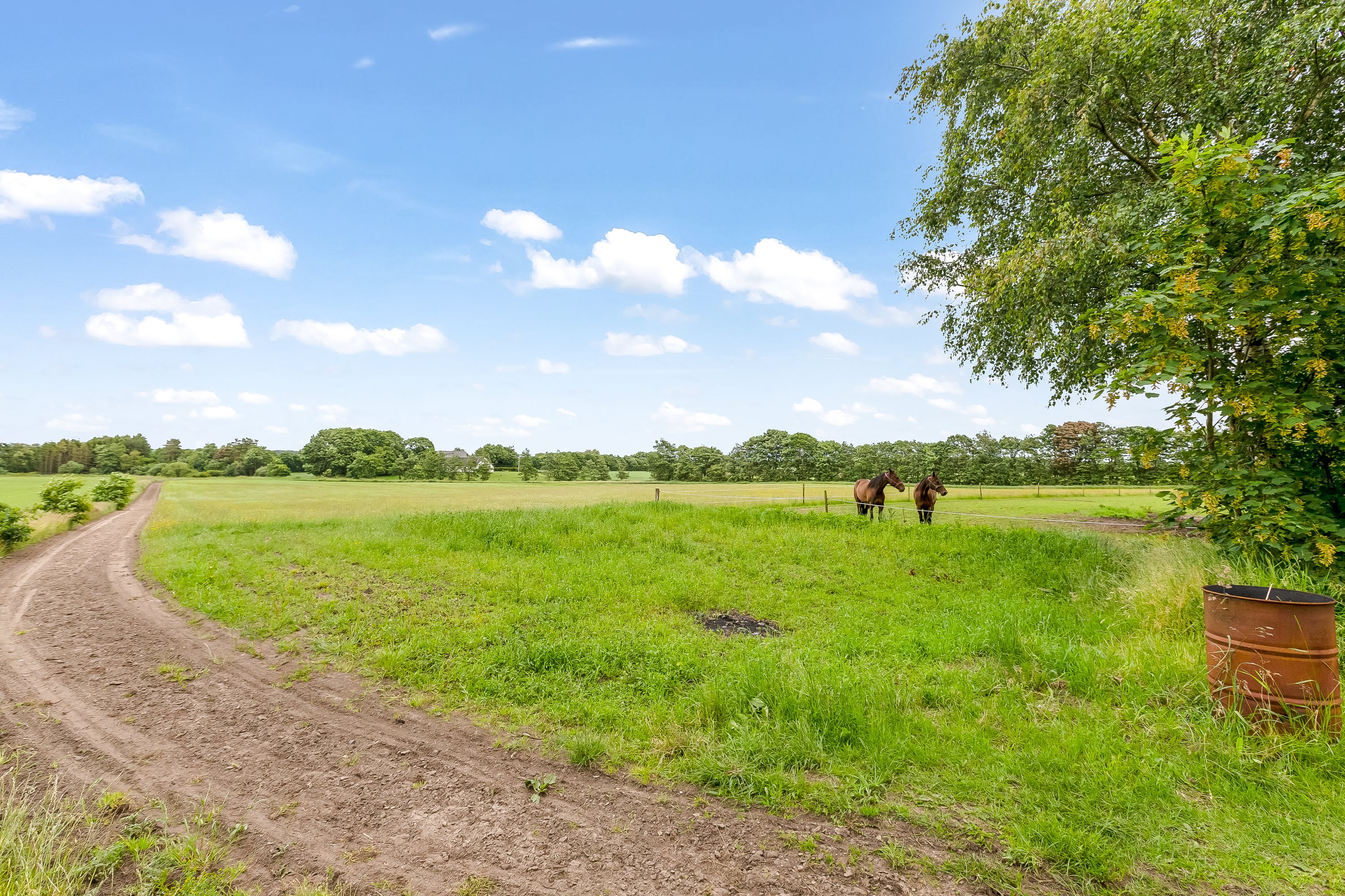 Fremhævet hestefold billede i fuldskærmstilstand. Billede af Hesselåvej 33, Skave, 7500 Holstebro