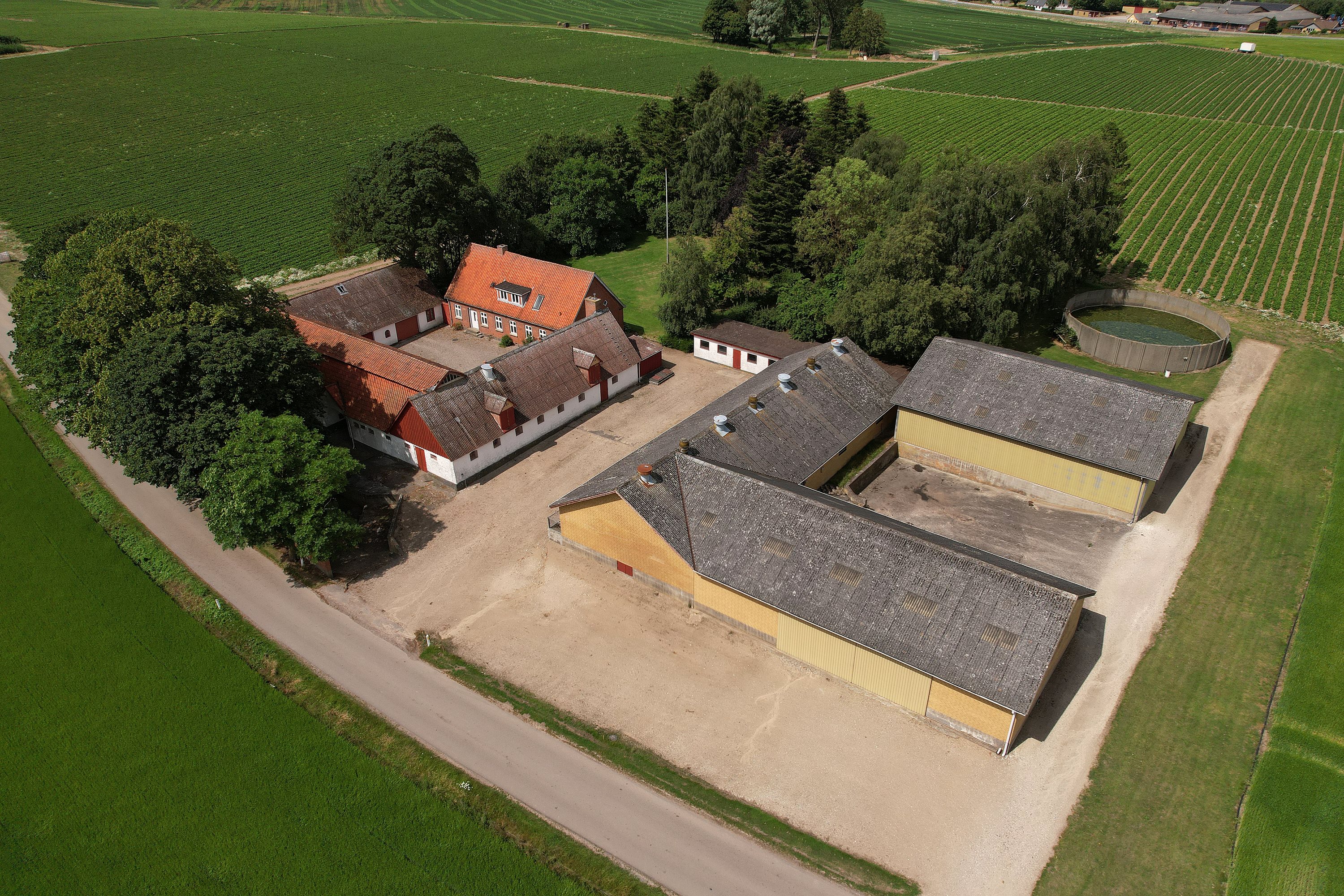 Fremhævet ejendommen billede i fuldskærmstilstand. Billede af Ølsevej 23, Sandby, 4171 Glumsø