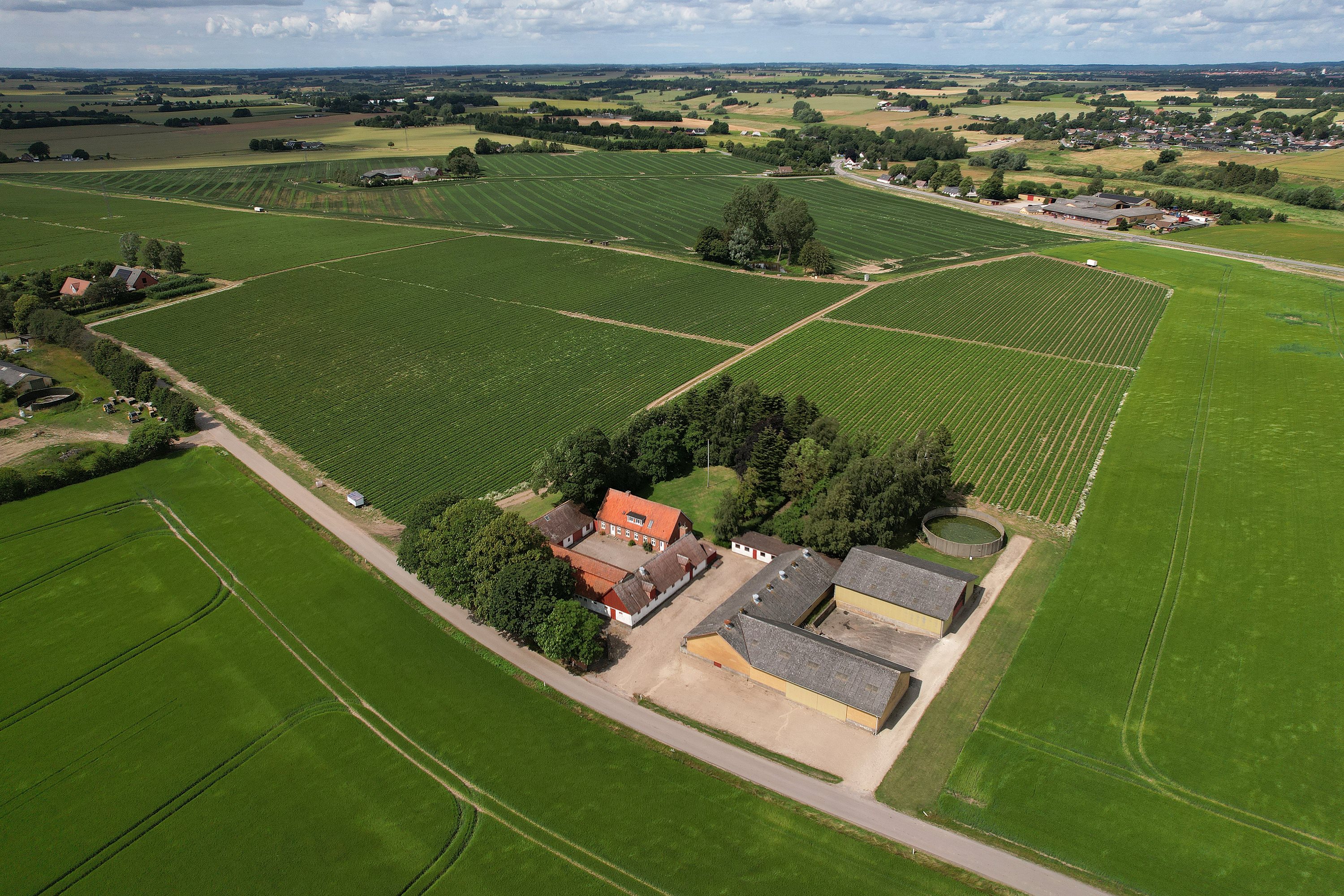 Fremhævet ejendommen billede i fuldskærmstilstand. Billede af Ølsevej 23, Sandby, 4171 Glumsø
