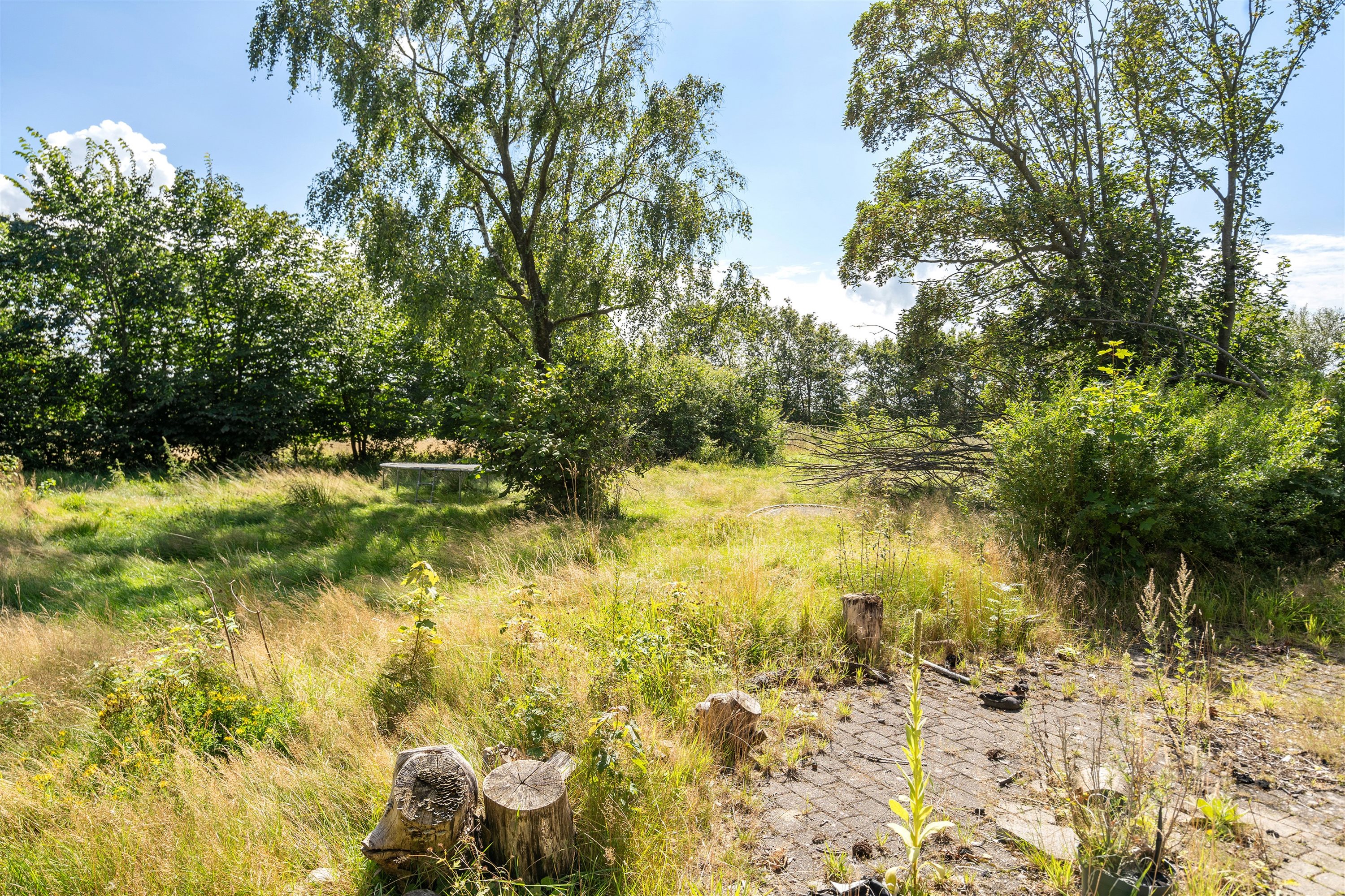 Fremhævet ejendommen billede i fuldskærmstilstand. Billede af Tanderupvej 3, Kirkeby, 6760 Ribe