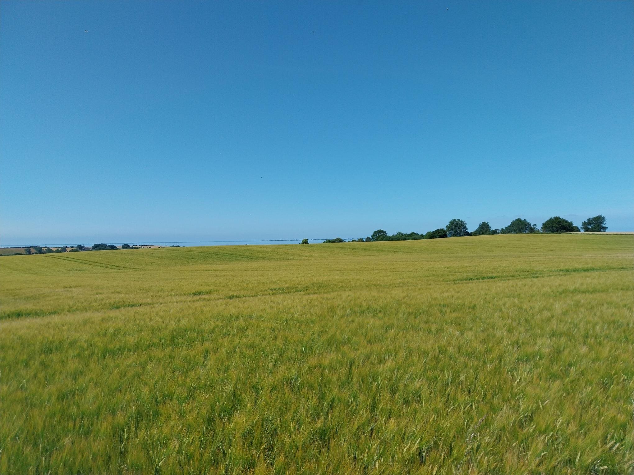 Fremhævet  billede i fuldskærmstilstand. Billede af Søby Midtvej 5, 5985 Søby Ærø