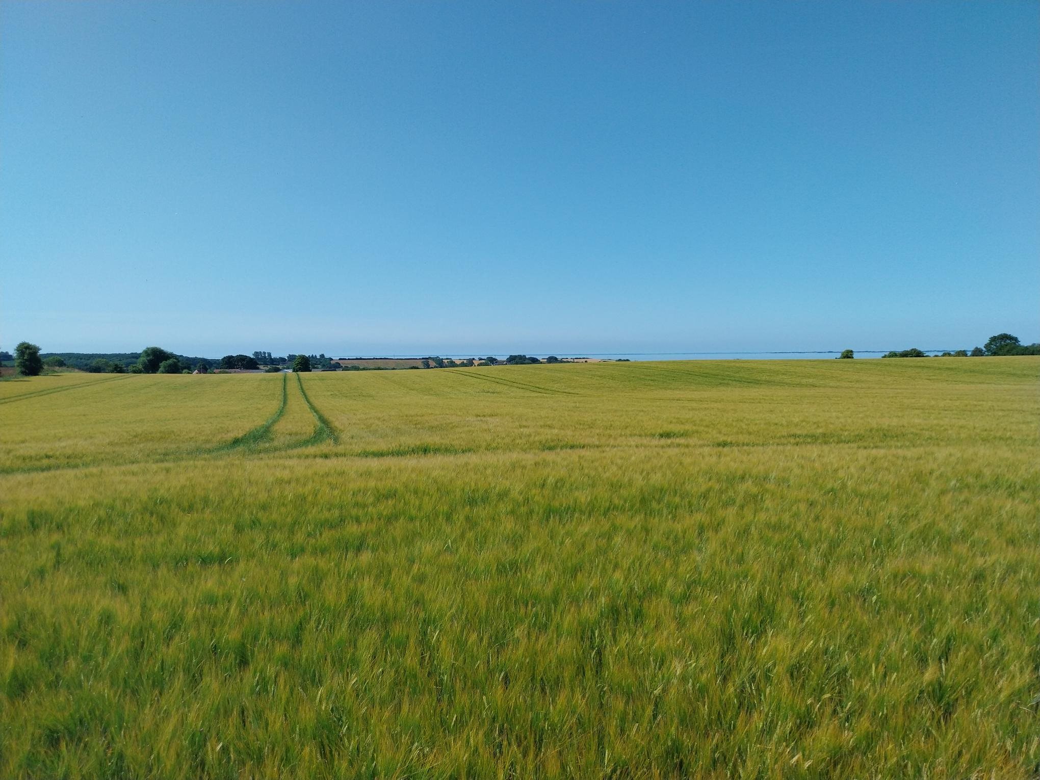 Fremhævet  billede i fuldskærmstilstand. Billede af Søby Midtvej 5, 5985 Søby Ærø