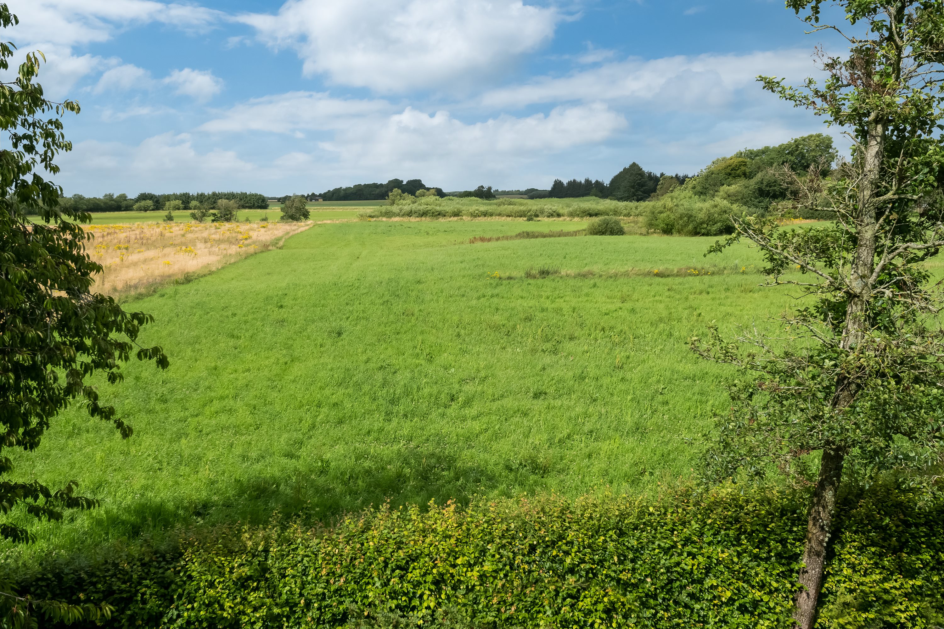 Fremhævet  billede i fuldskærmstilstand. Billede af Agerledetvej 19, 9870 Sindal