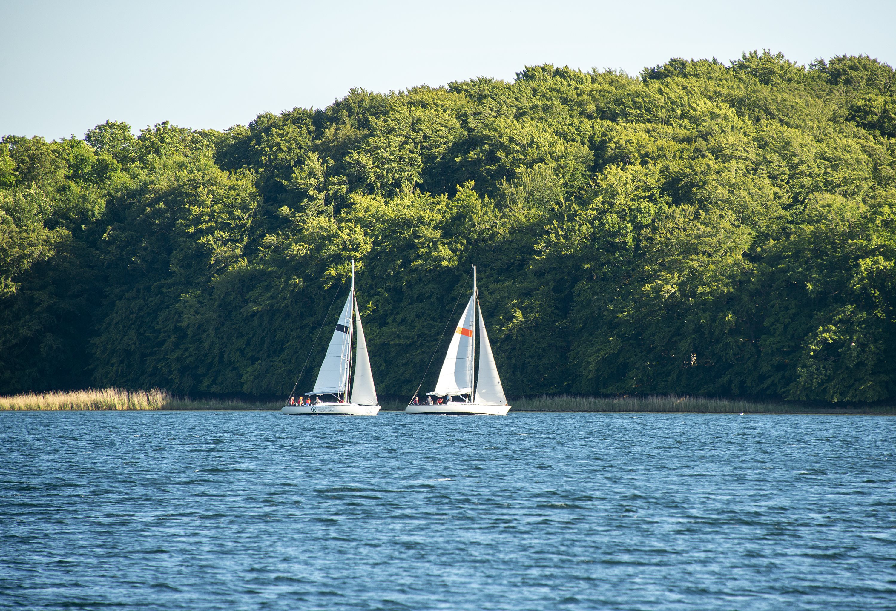 Fremhævet  billede i fuldskærmstilstand. Billede af Oddevejen 129, 5500 Middelfart