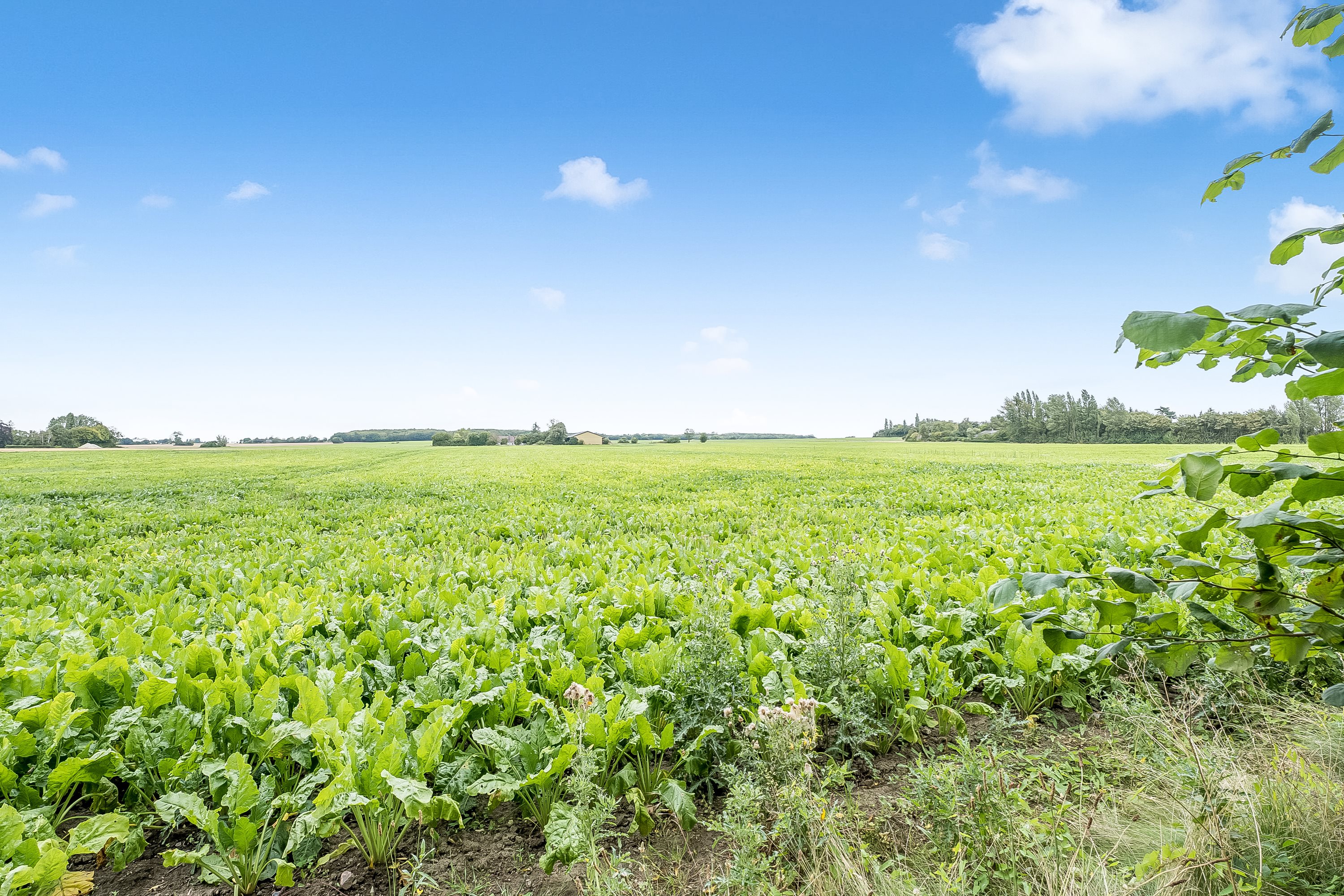 Fremhævet udsigt billede i fuldskærmstilstand. Billede af Viemosevej 89, Nøbbet, 4913 Horslunde