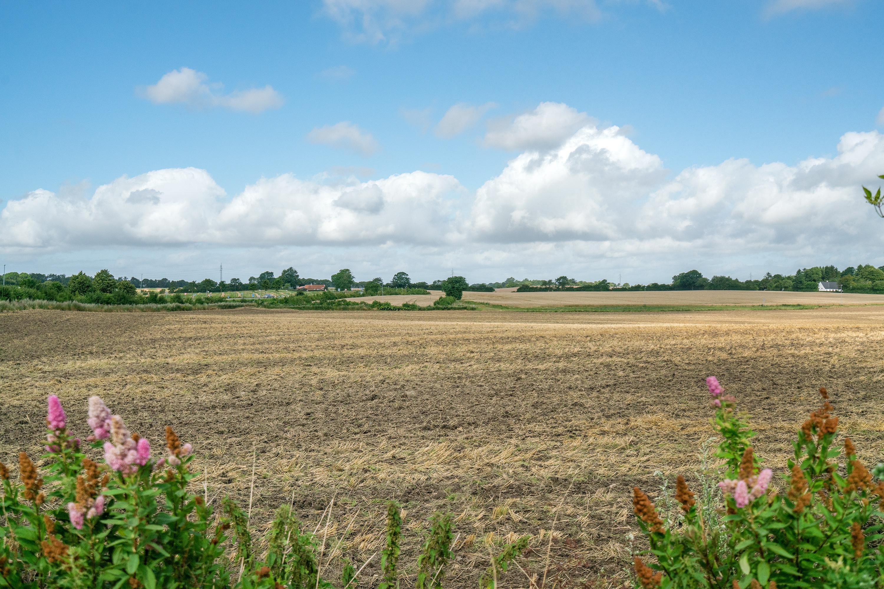 Fremhævet  billede i fuldskærmstilstand. Billede af Blaakærvej 11, 5856 Ryslinge