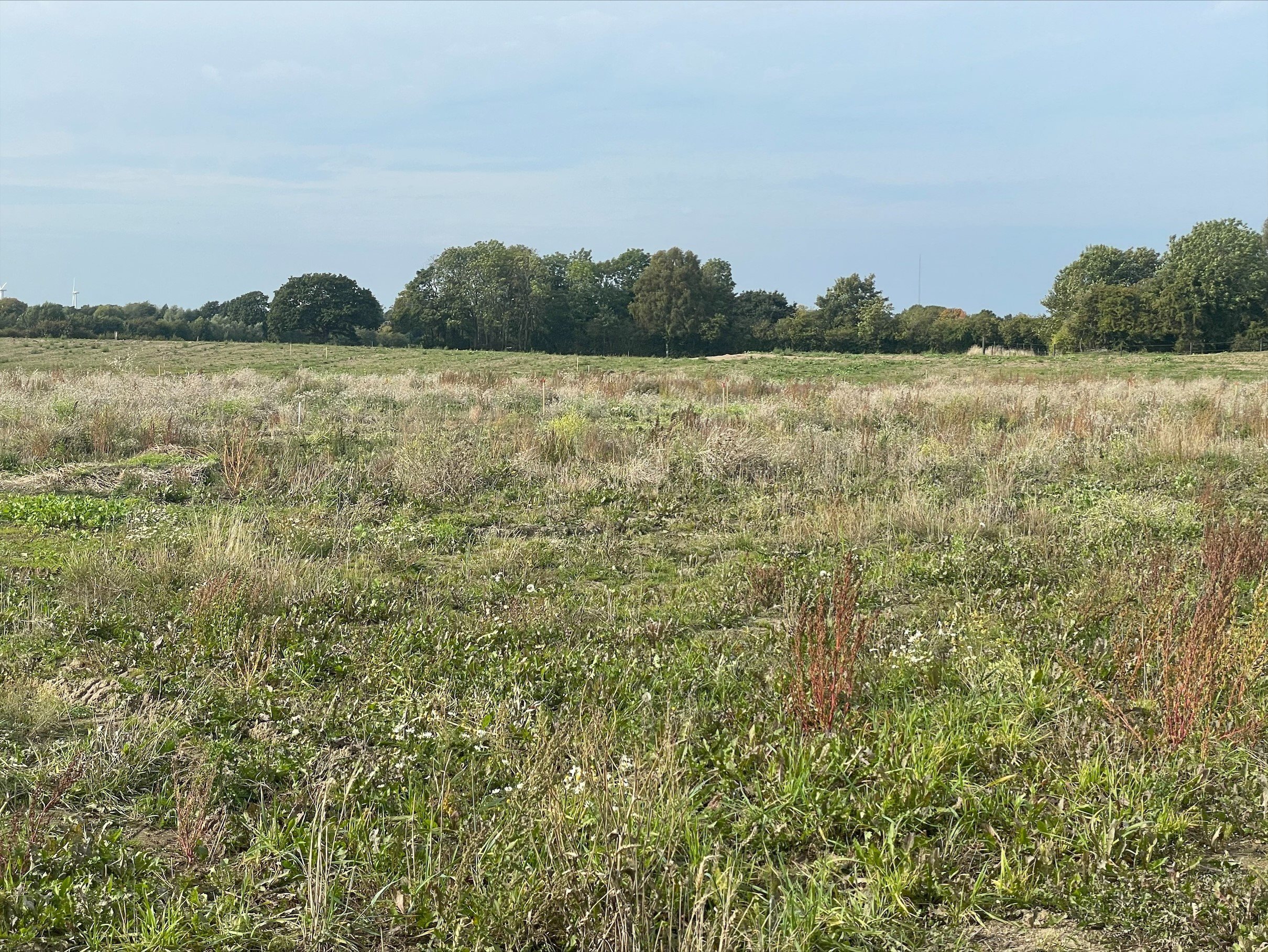 Fremhævet området billede i fuldskærmstilstand. Billede af Starvænget 1, Sønder Nærå, 5792 Årslev