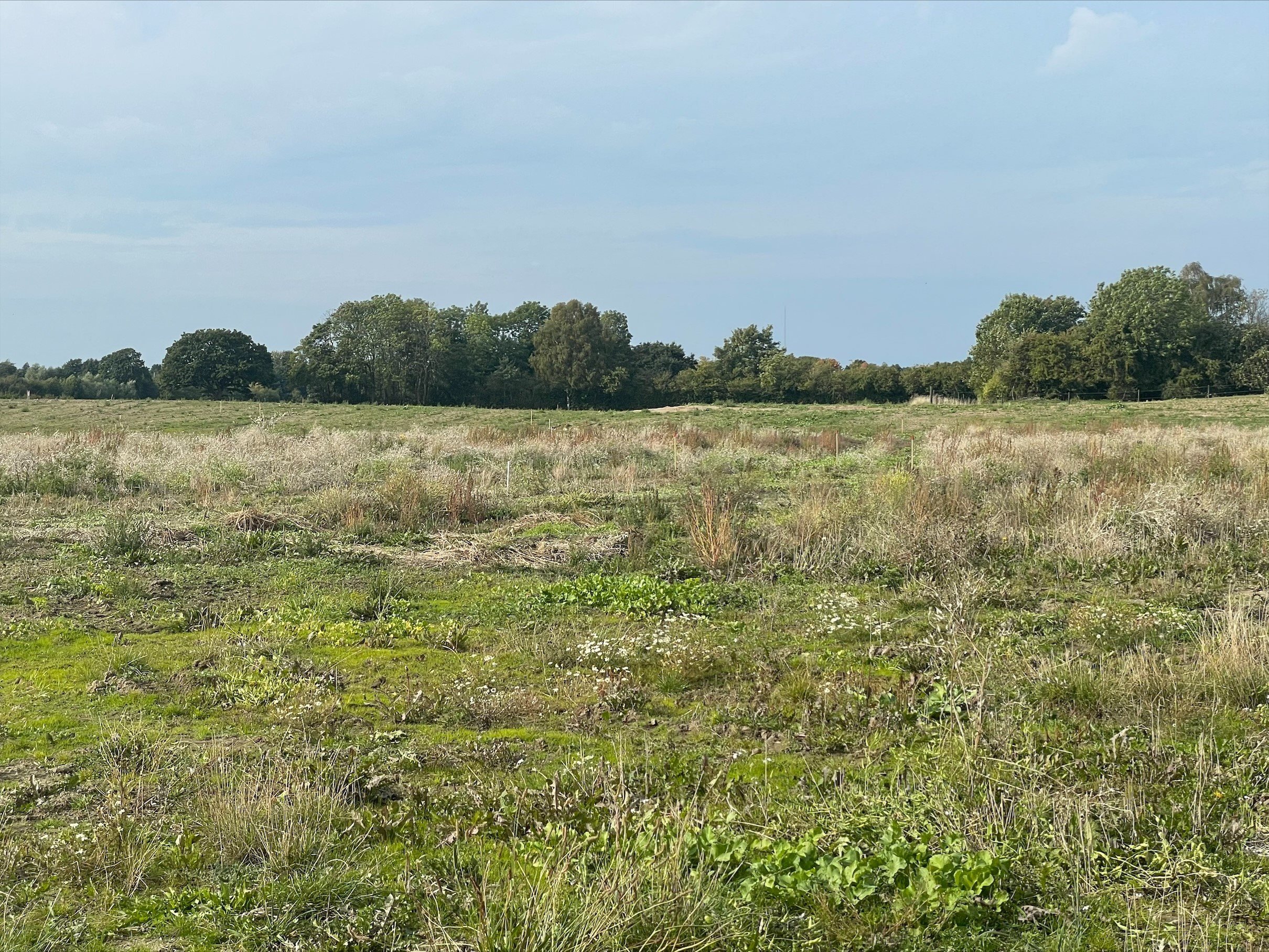 Fremhævet området billede i fuldskærmstilstand. Billede af Starvænget 1, Sønder Nærå, 5792 Årslev