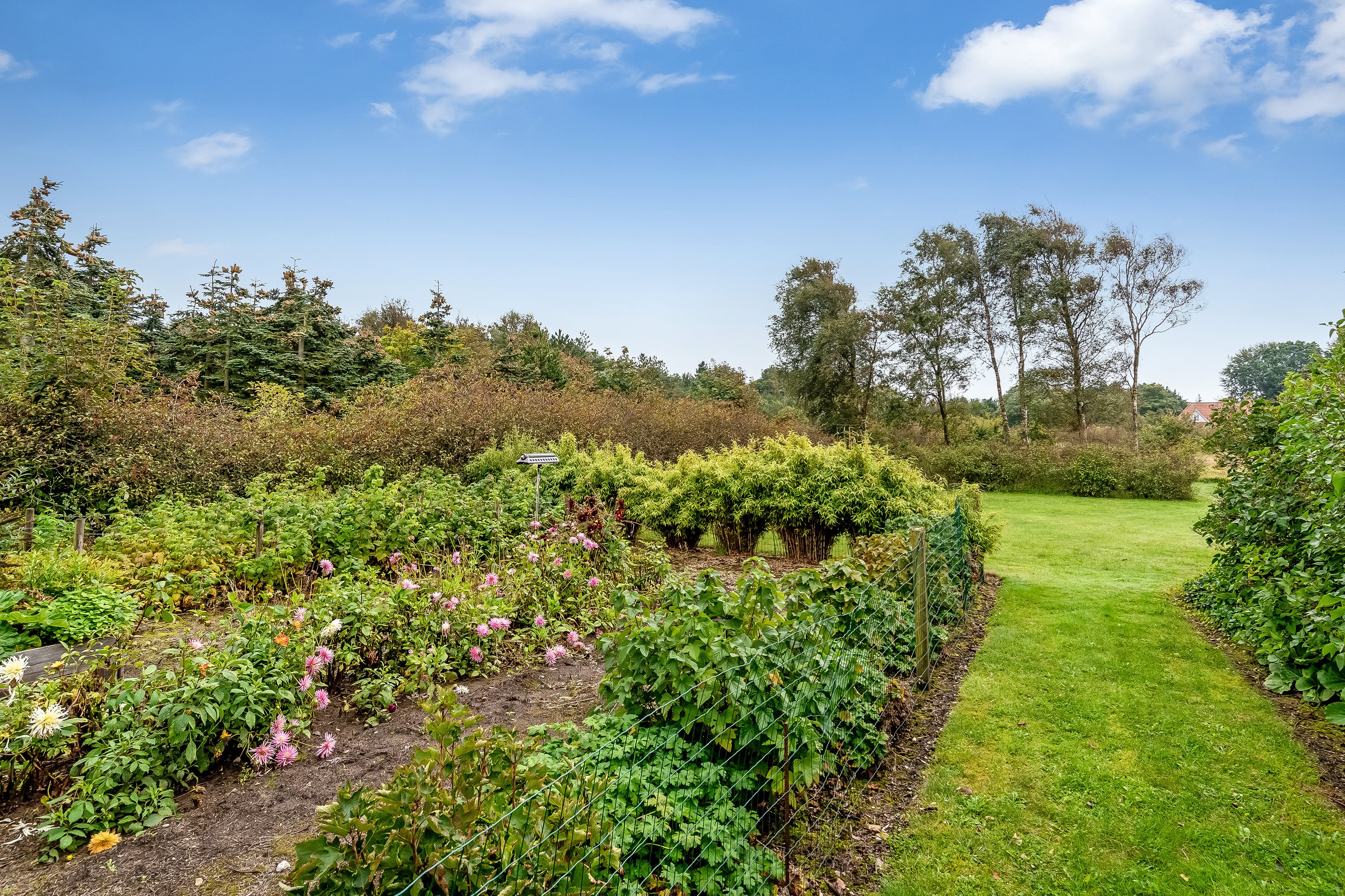 Fremhævet have billede i fuldskærmstilstand. Billede af Stabyvej 25, Staby, 6990 Ulfborg
