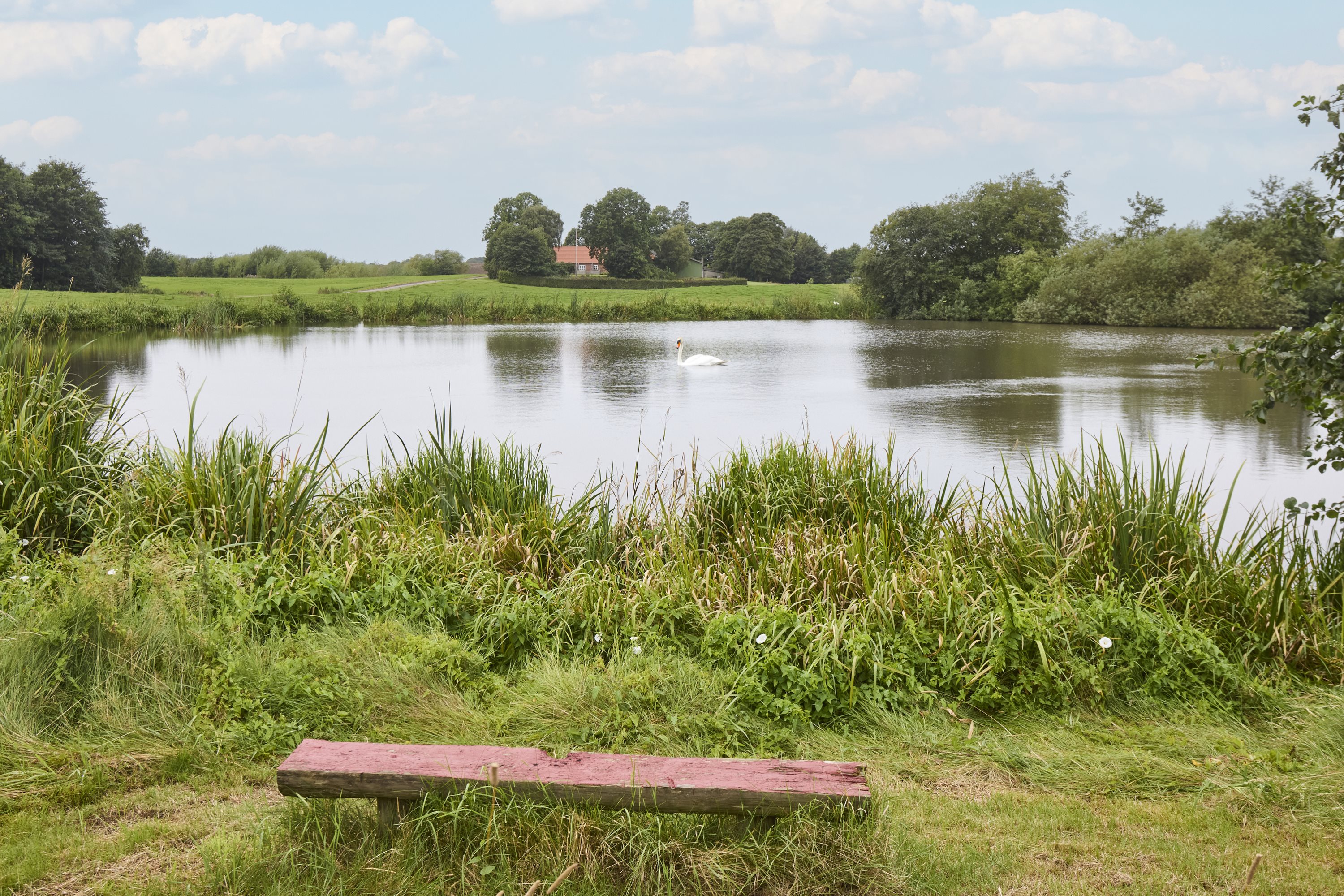 Fremhævet  billede i fuldskærmstilstand. Billede af Fårupvej 26, 8840 Rødkærsbro