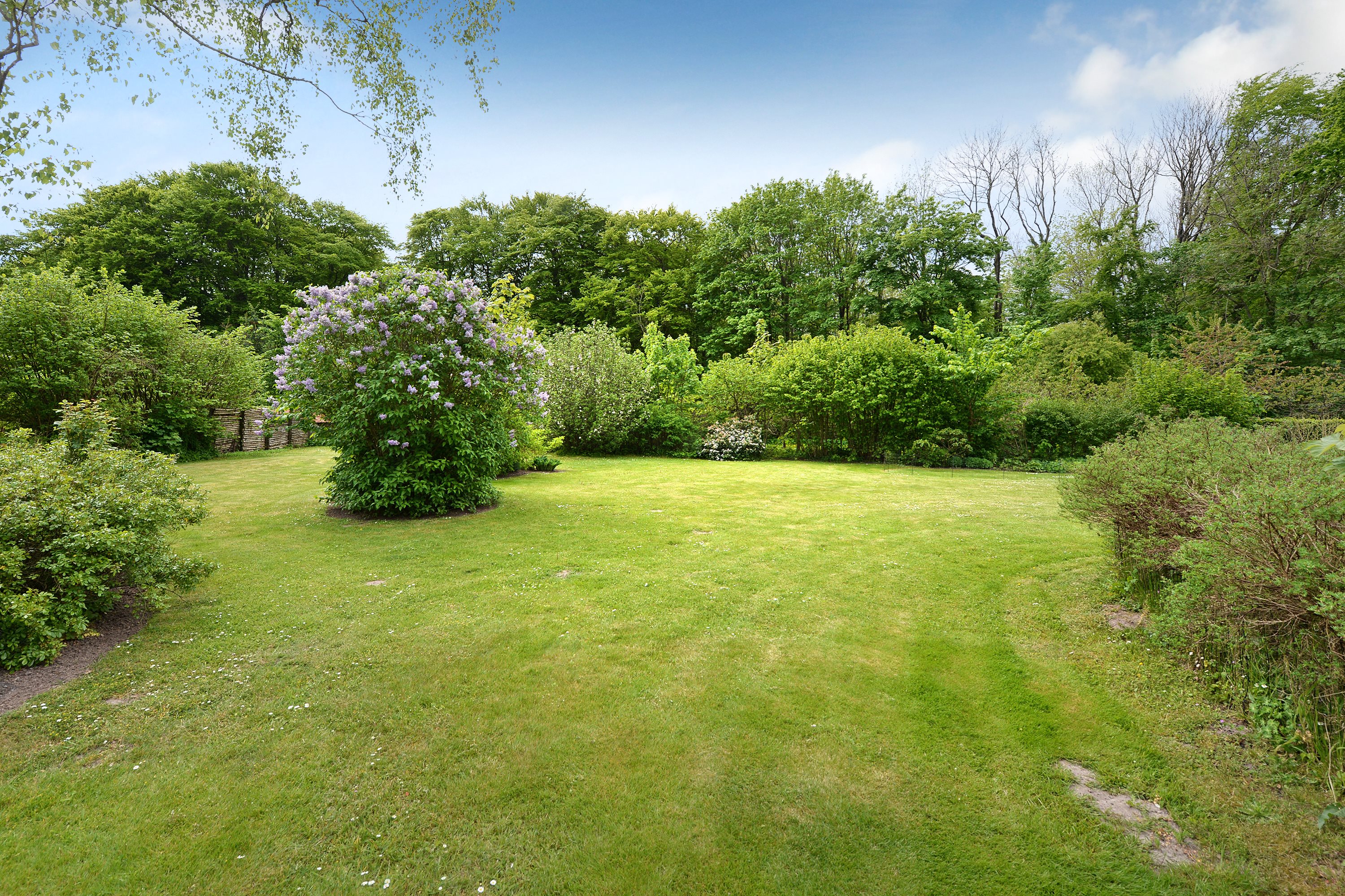 Miniaturebillede 2: have. Billede af Middelfartvej 204, Skovshøjrup, 5464 Brenderup Fyn