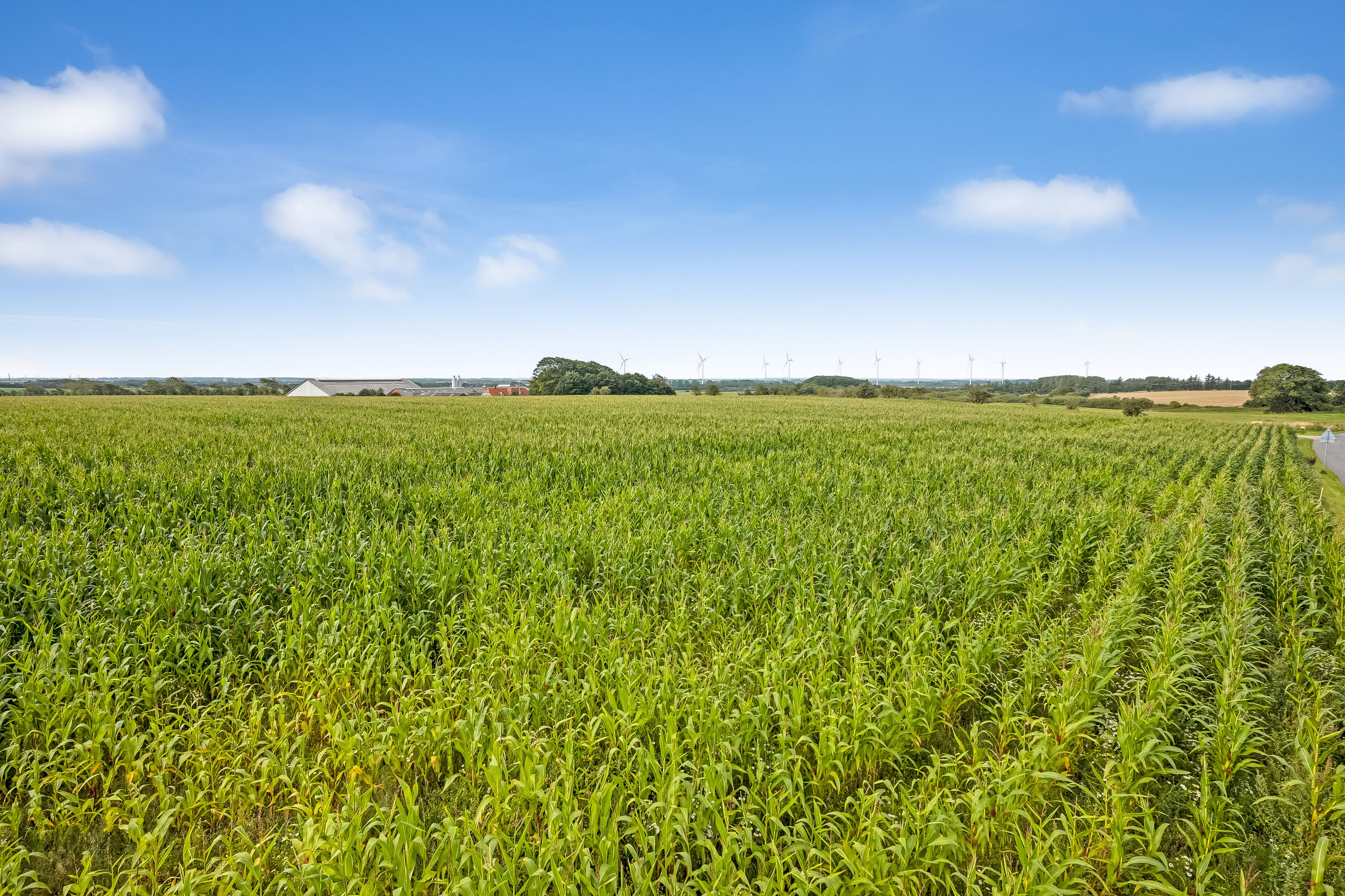 Fremhævet udsigt billede i fuldskærmstilstand. Billede af Røgindvej 16, 6940 Lem St