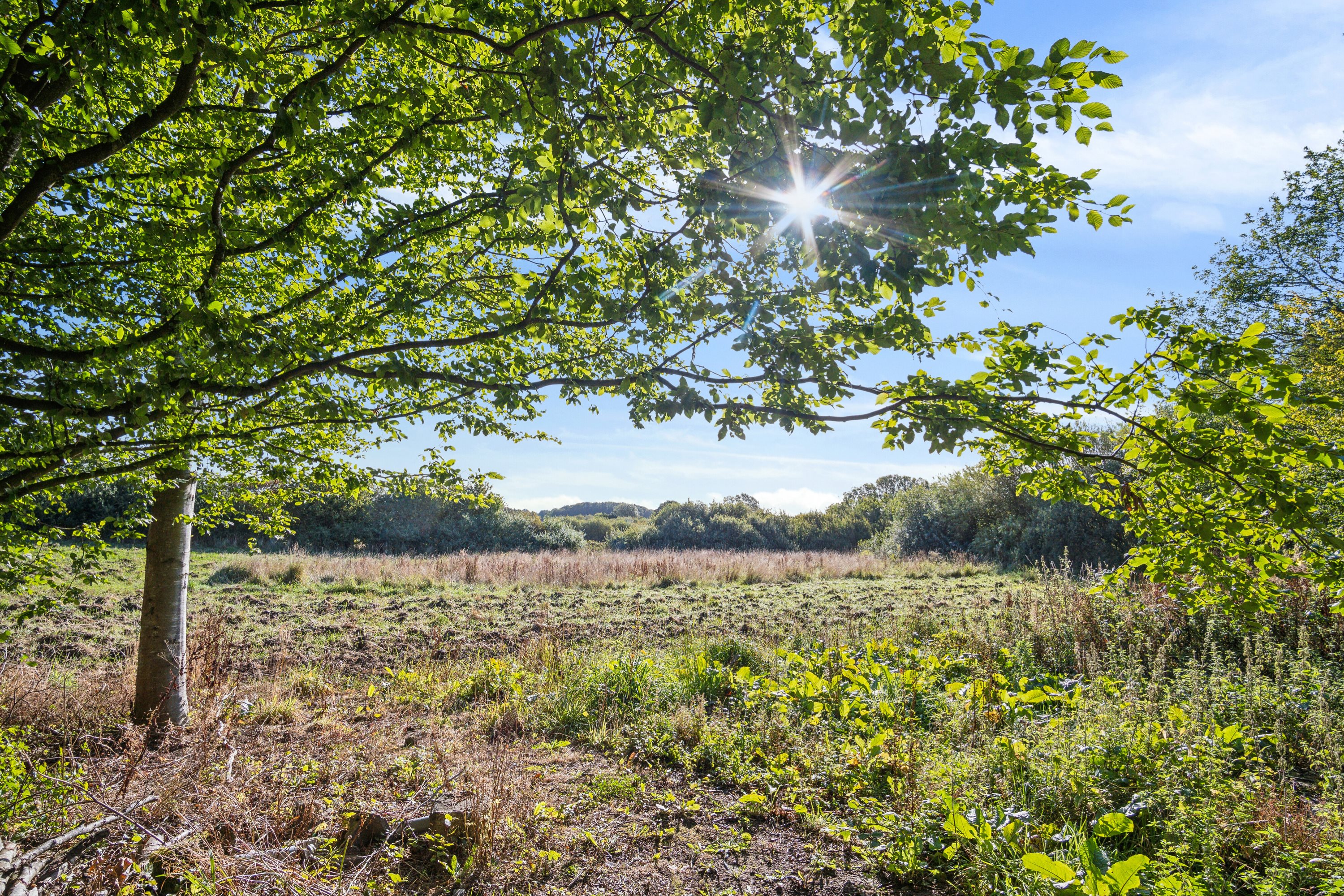 Villa: Udendørs på Brørupvej 73, Overby, 8732 Hovedgård
