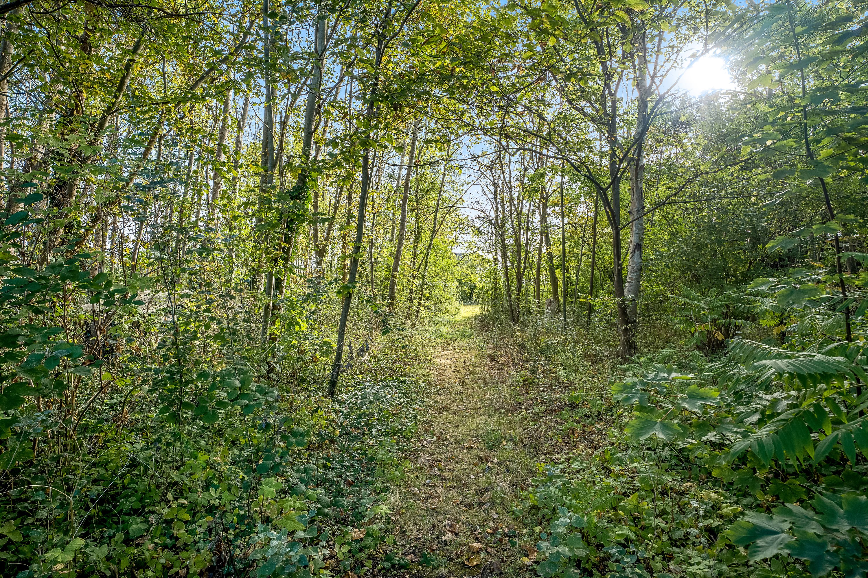 Fremhævet have billede i fuldskærmstilstand. Billede af Klønge Byvej 10, 4983 Dannemare