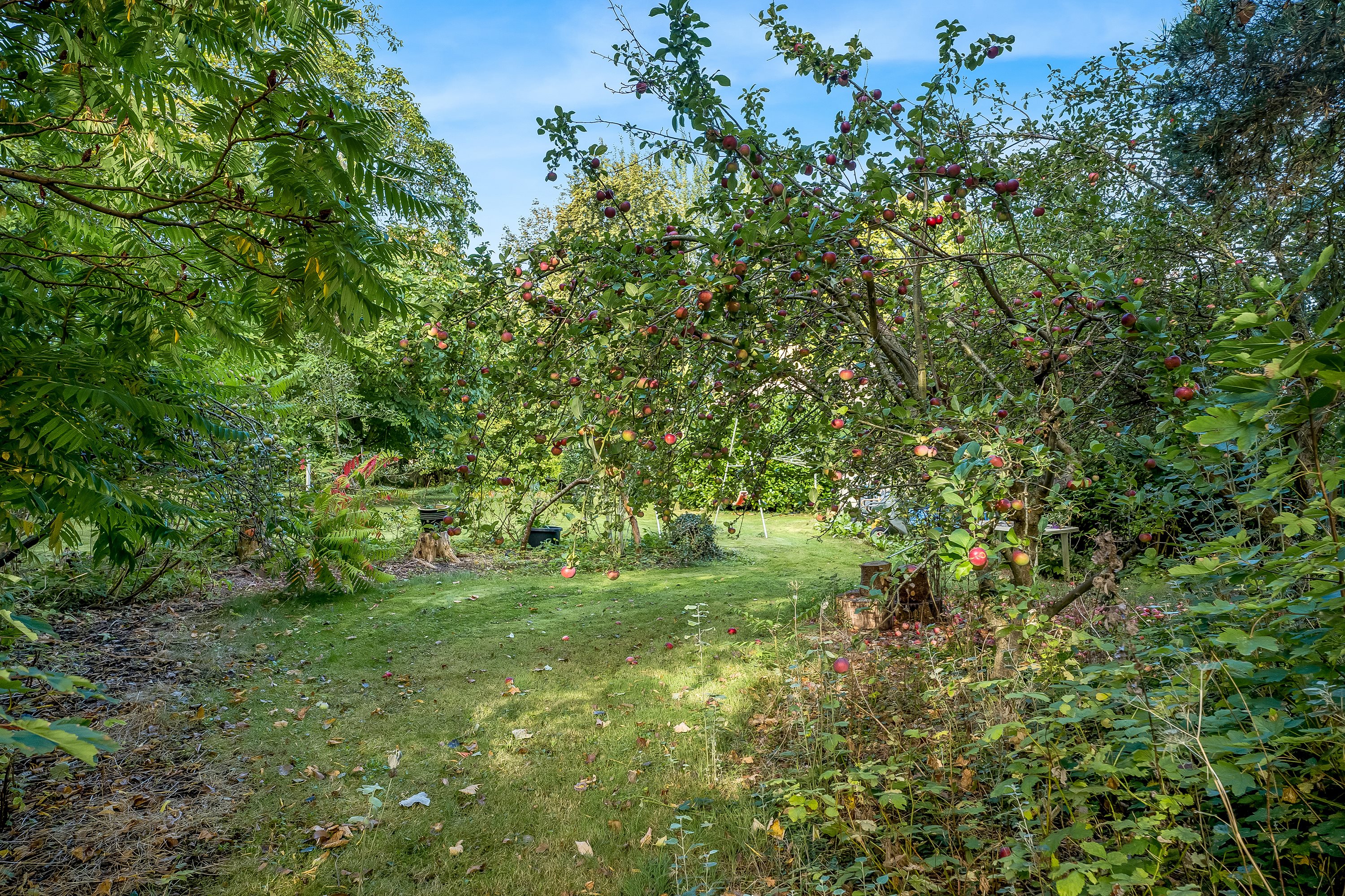 Fremhævet have billede i fuldskærmstilstand. Billede af Klønge Byvej 10, 4983 Dannemare