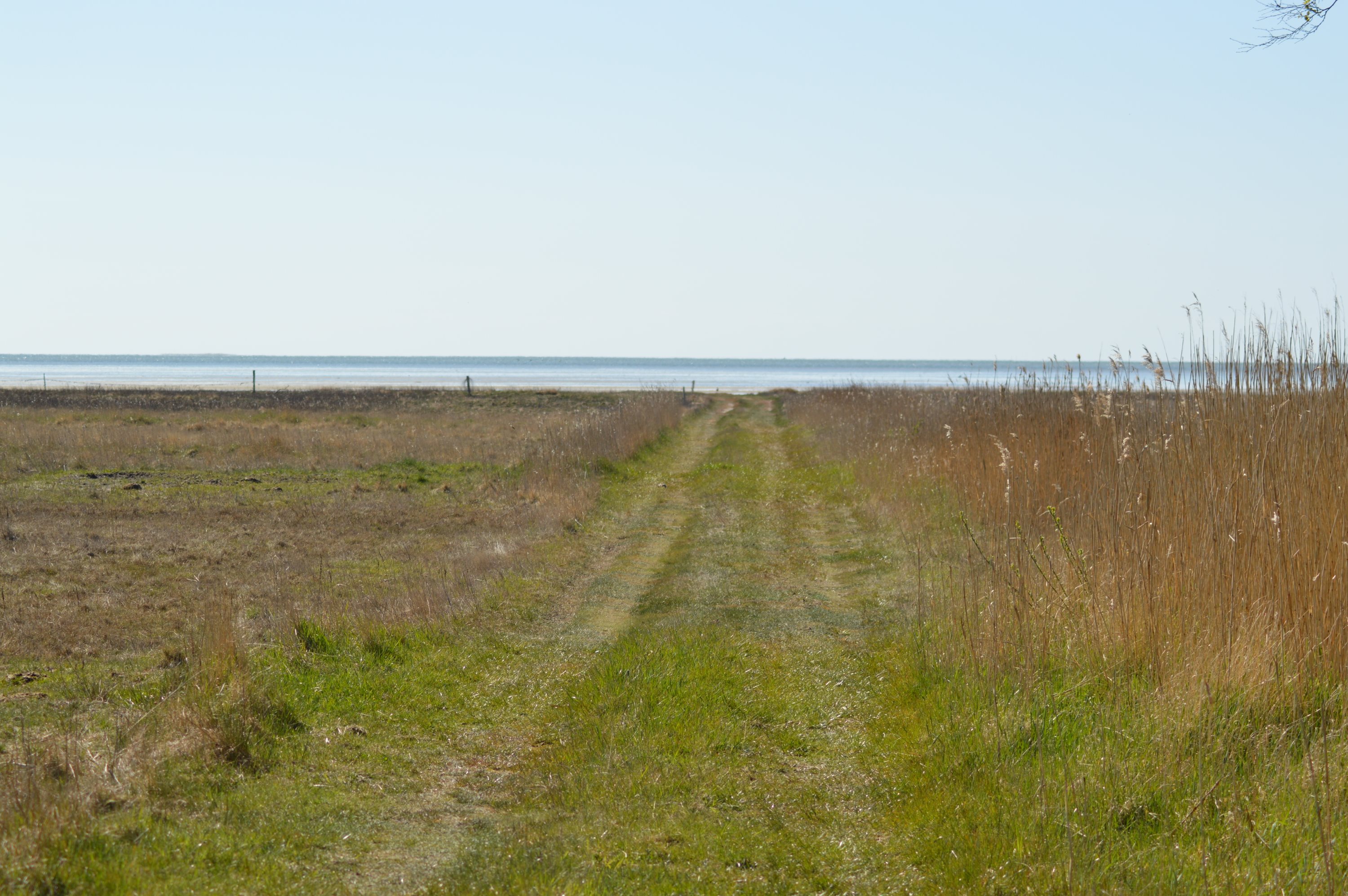 Fremhævet andet billede i fuldskærmstilstand. Billede af Sydhavnsvej 26, Østerby, 9940 Læsø