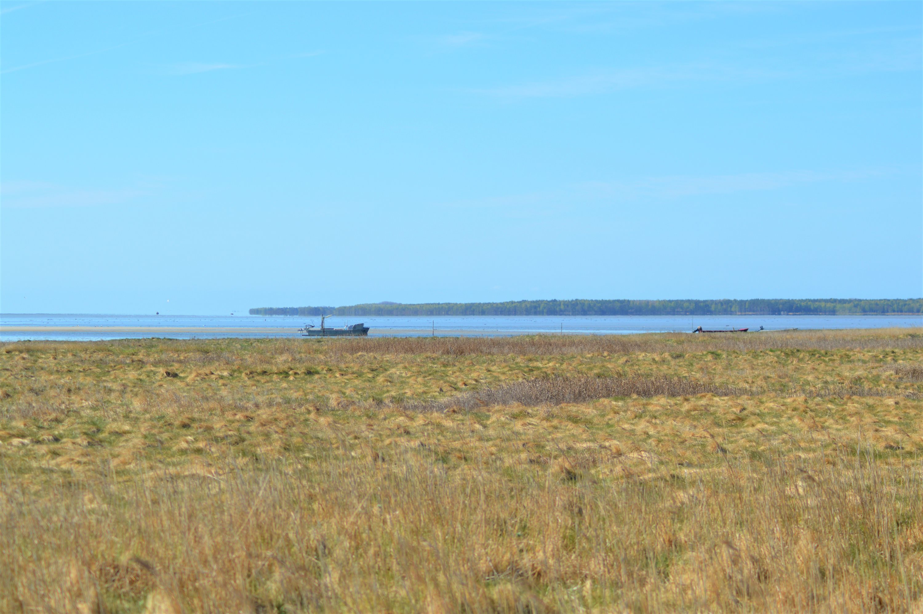 Fremhævet andet billede i fuldskærmstilstand. Billede af Sydhavnsvej 26, Østerby, 9940 Læsø