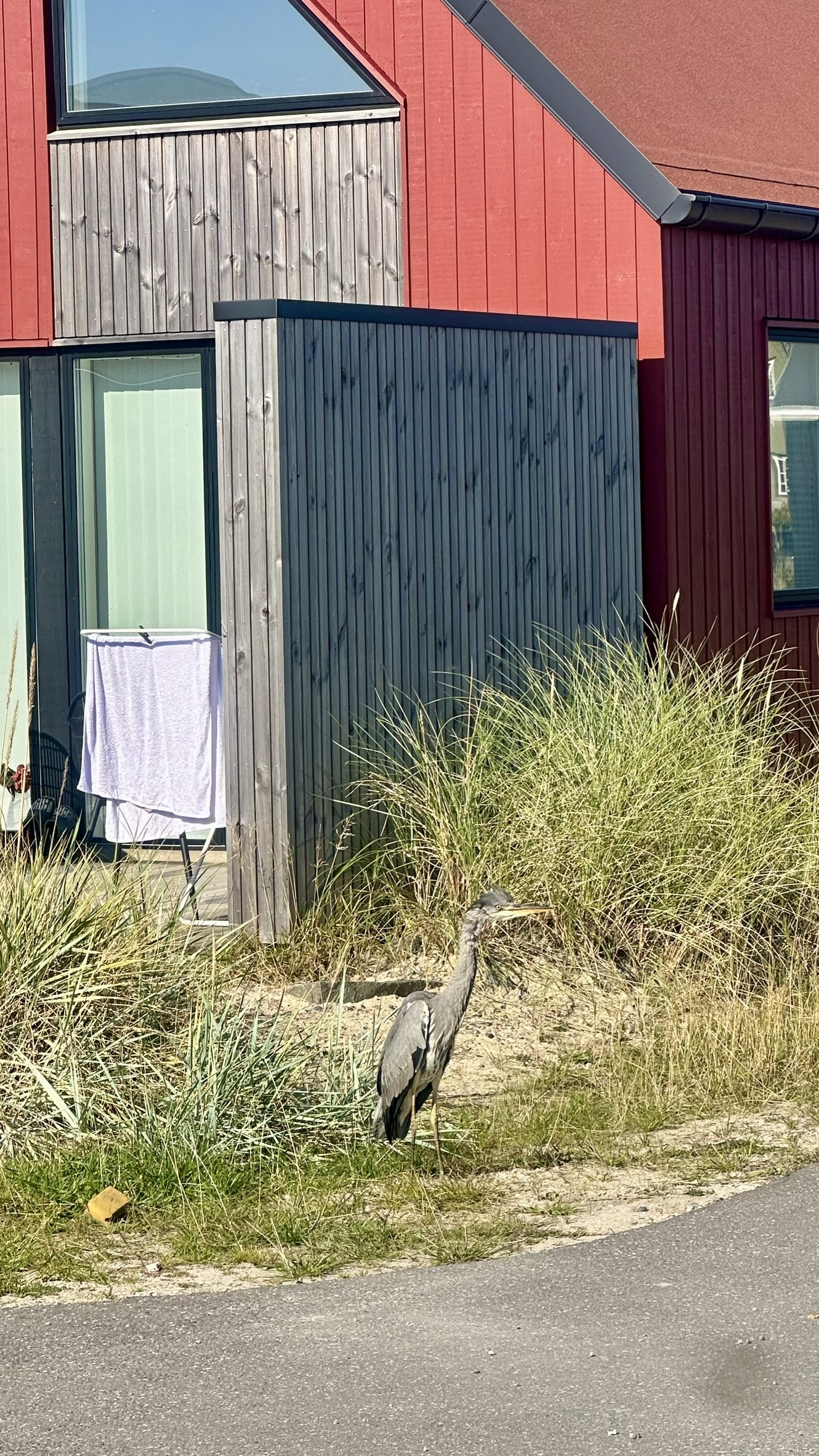 Fremhævet  billede i fuldskærmstilstand. Billede af Langsand 66, 6960 Hvide Sande