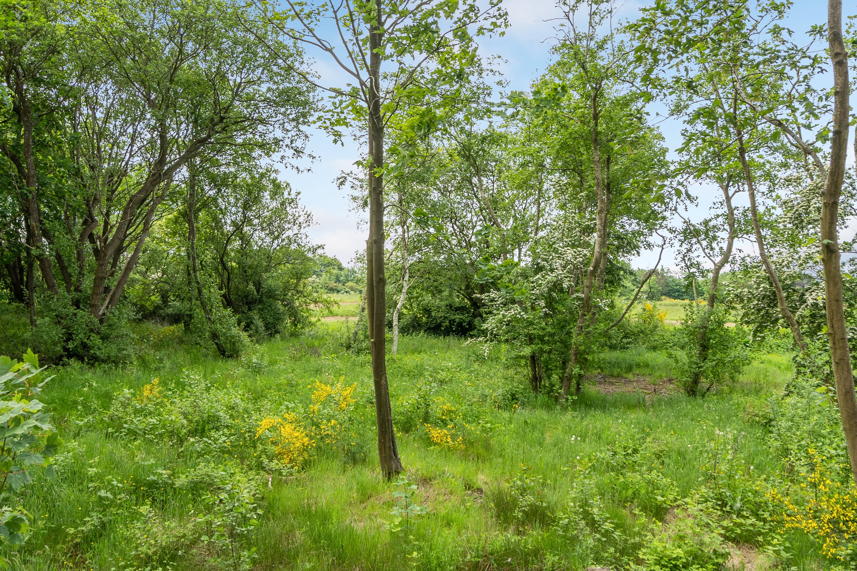 Fremhævet andet billede i fuldskærmstilstand. Billede af Hedetoften 35, 6740 Bramming