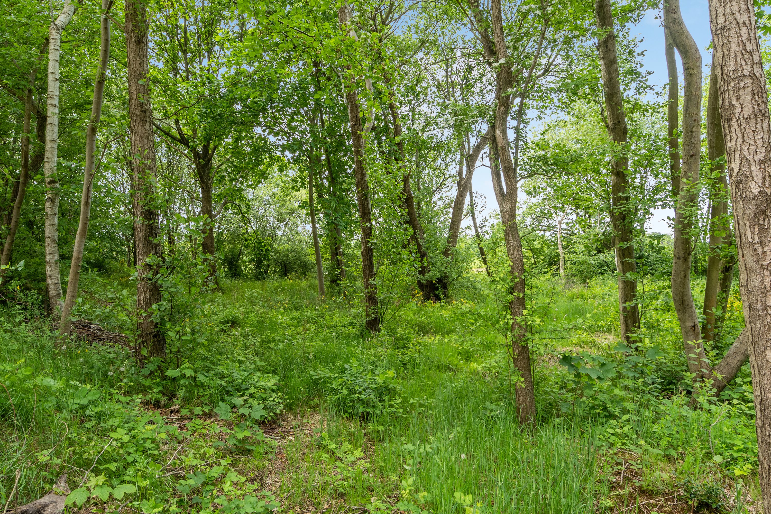 Fremhævet andet billede i fuldskærmstilstand. Billede af Hedetoften 35, 6740 Bramming