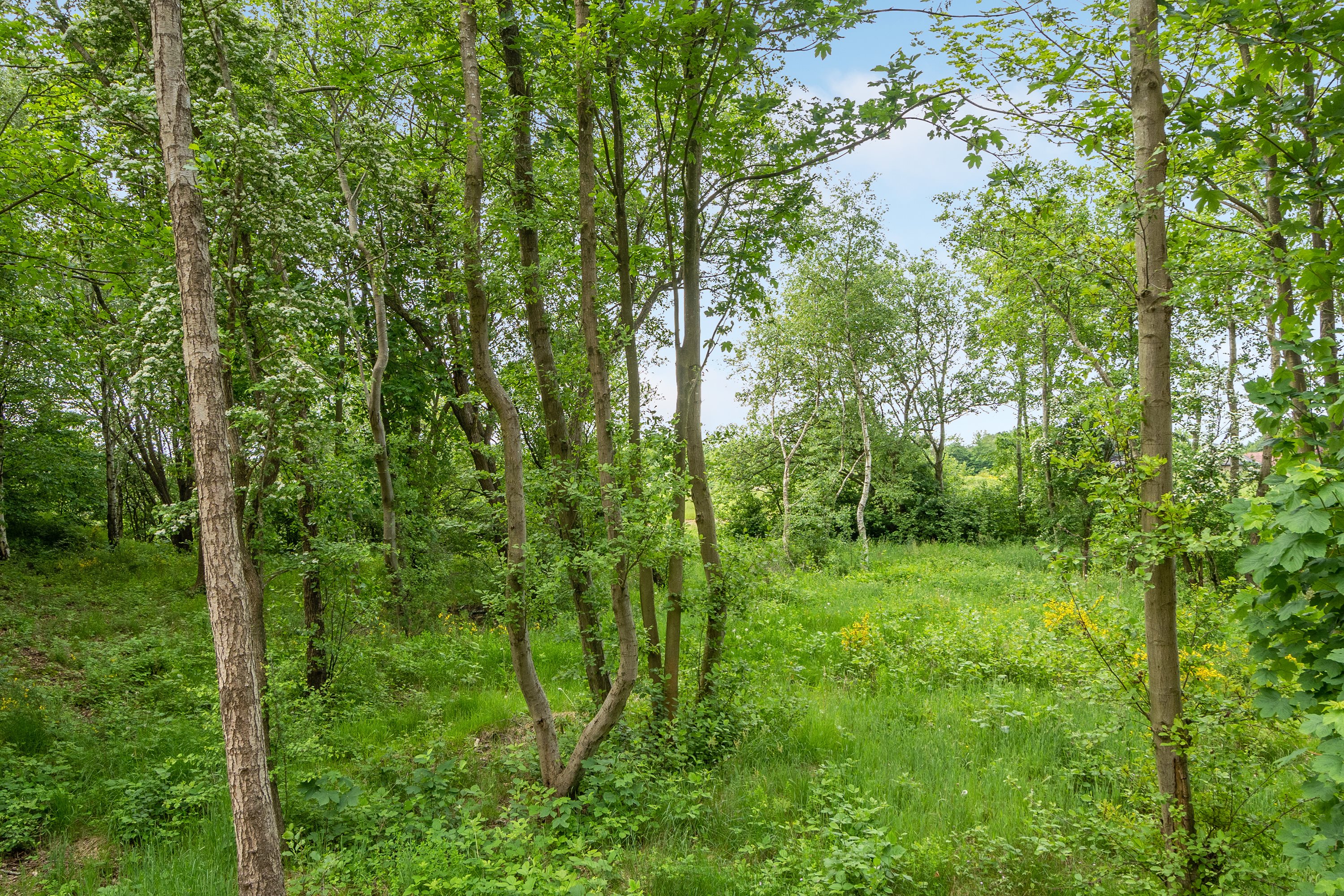 Fremhævet andet billede i fuldskærmstilstand. Billede af Hedetoften 35, 6740 Bramming