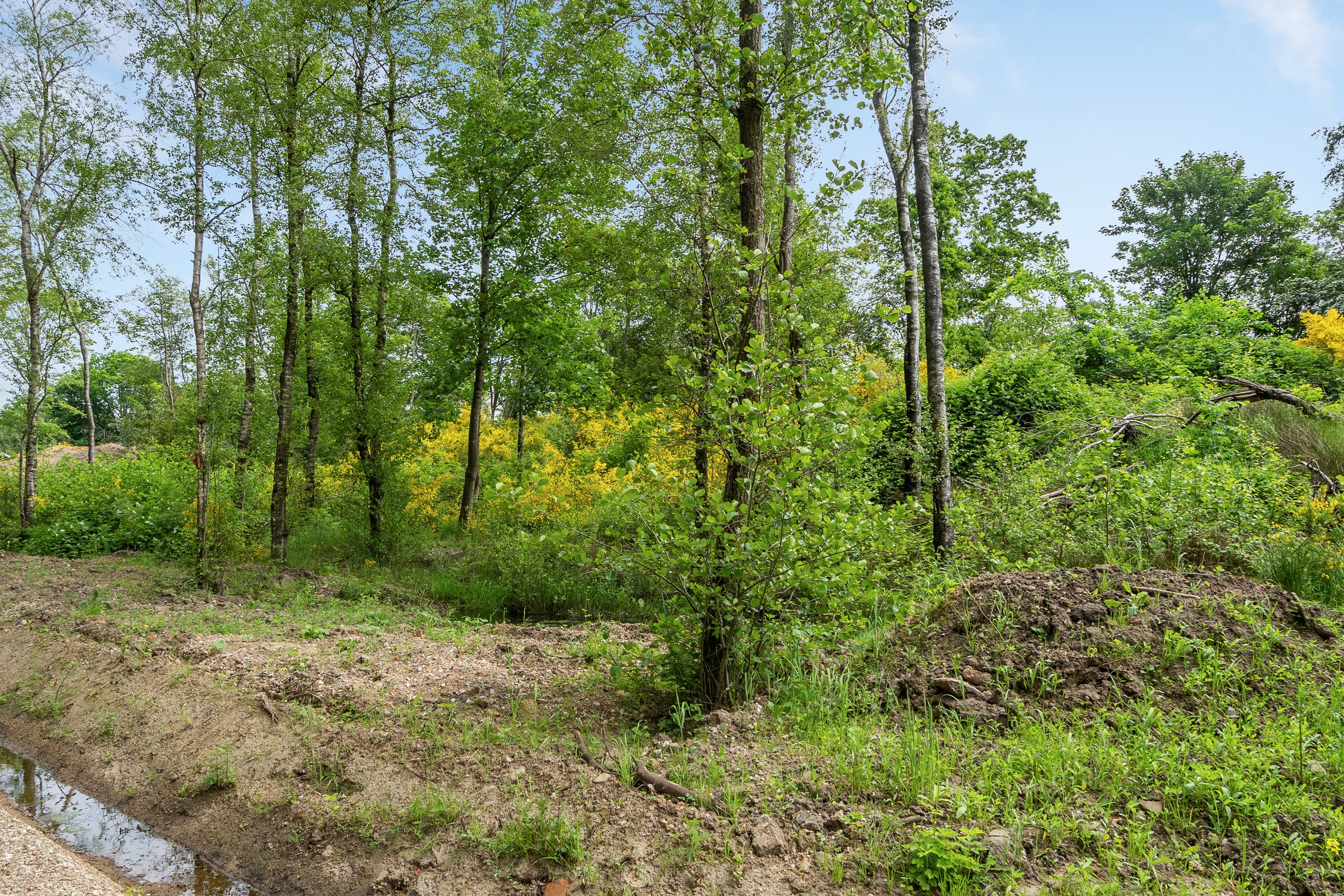 Fremhævet andet billede i fuldskærmstilstand. Billede af Hedetoften 35, 6740 Bramming