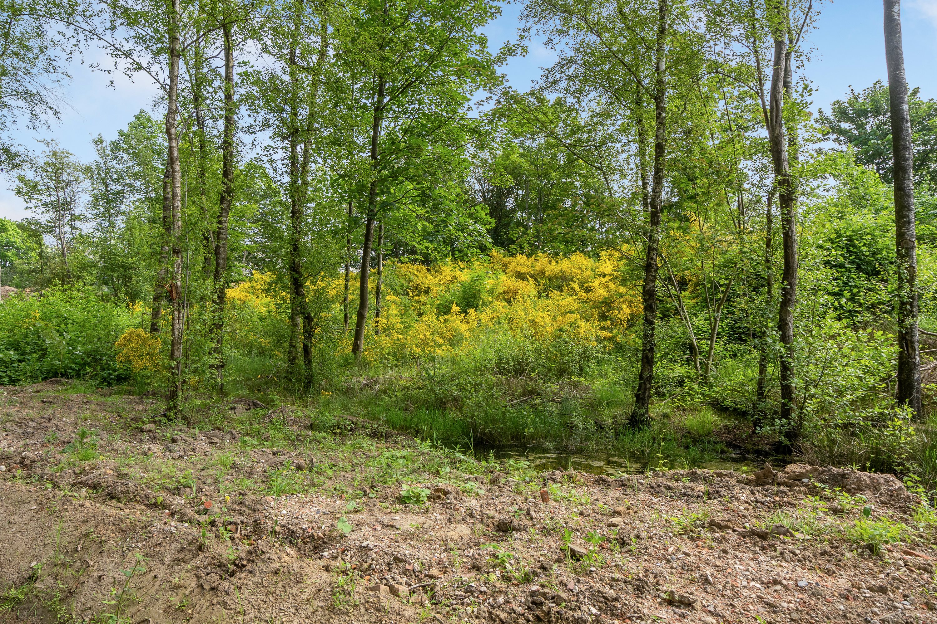 Fremhævet andet billede i fuldskærmstilstand. Billede af Hedetoften 35, 6740 Bramming