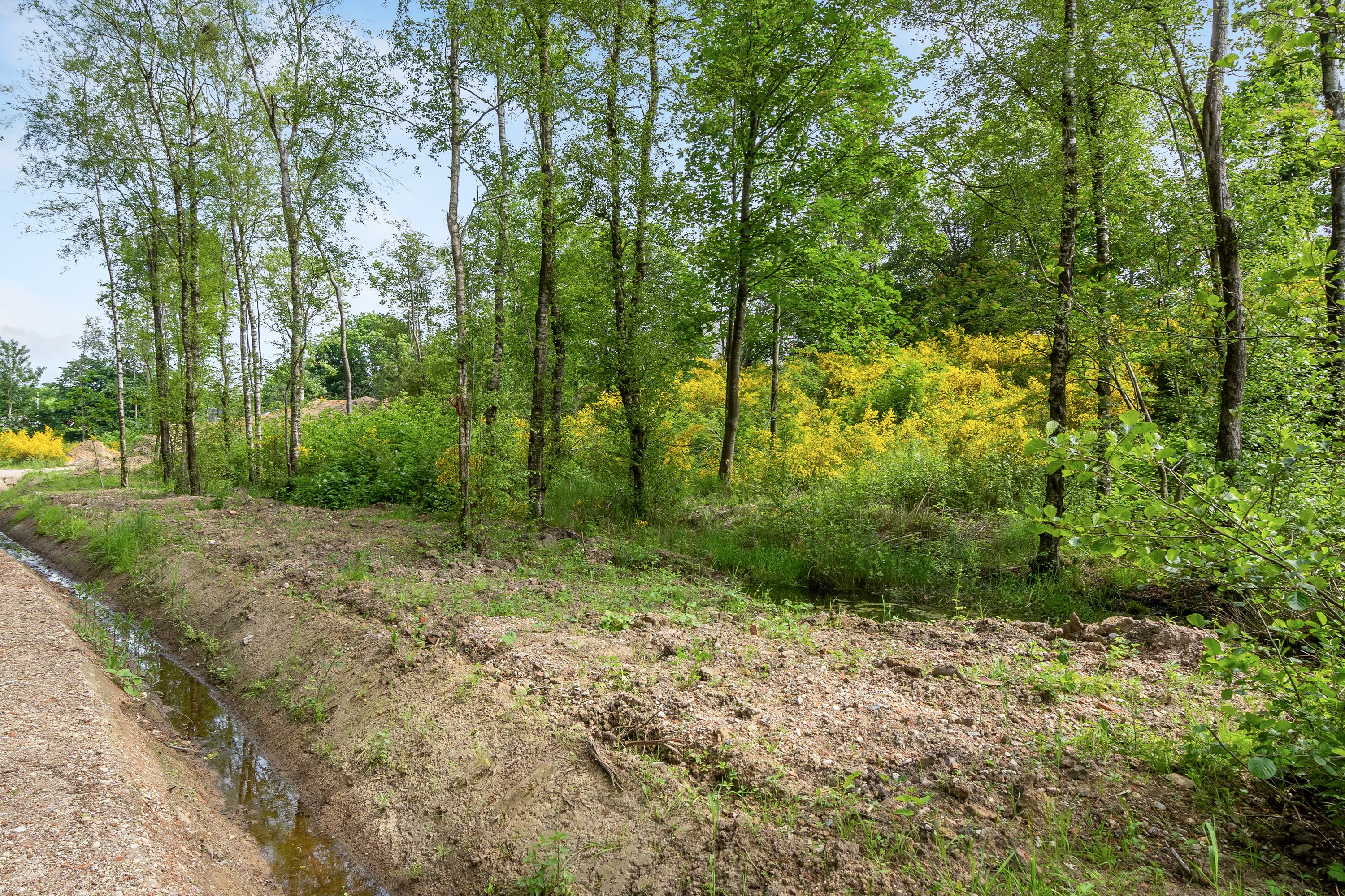 Fremhævet andet billede i fuldskærmstilstand. Billede af Hedetoften 35, 6740 Bramming