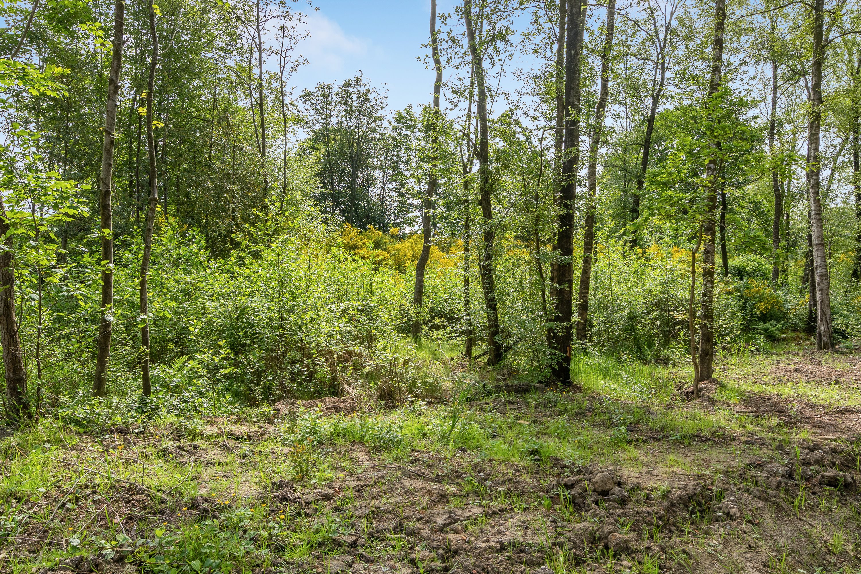 Fremhævet andet billede i fuldskærmstilstand. Billede af Hedetoften 35, 6740 Bramming