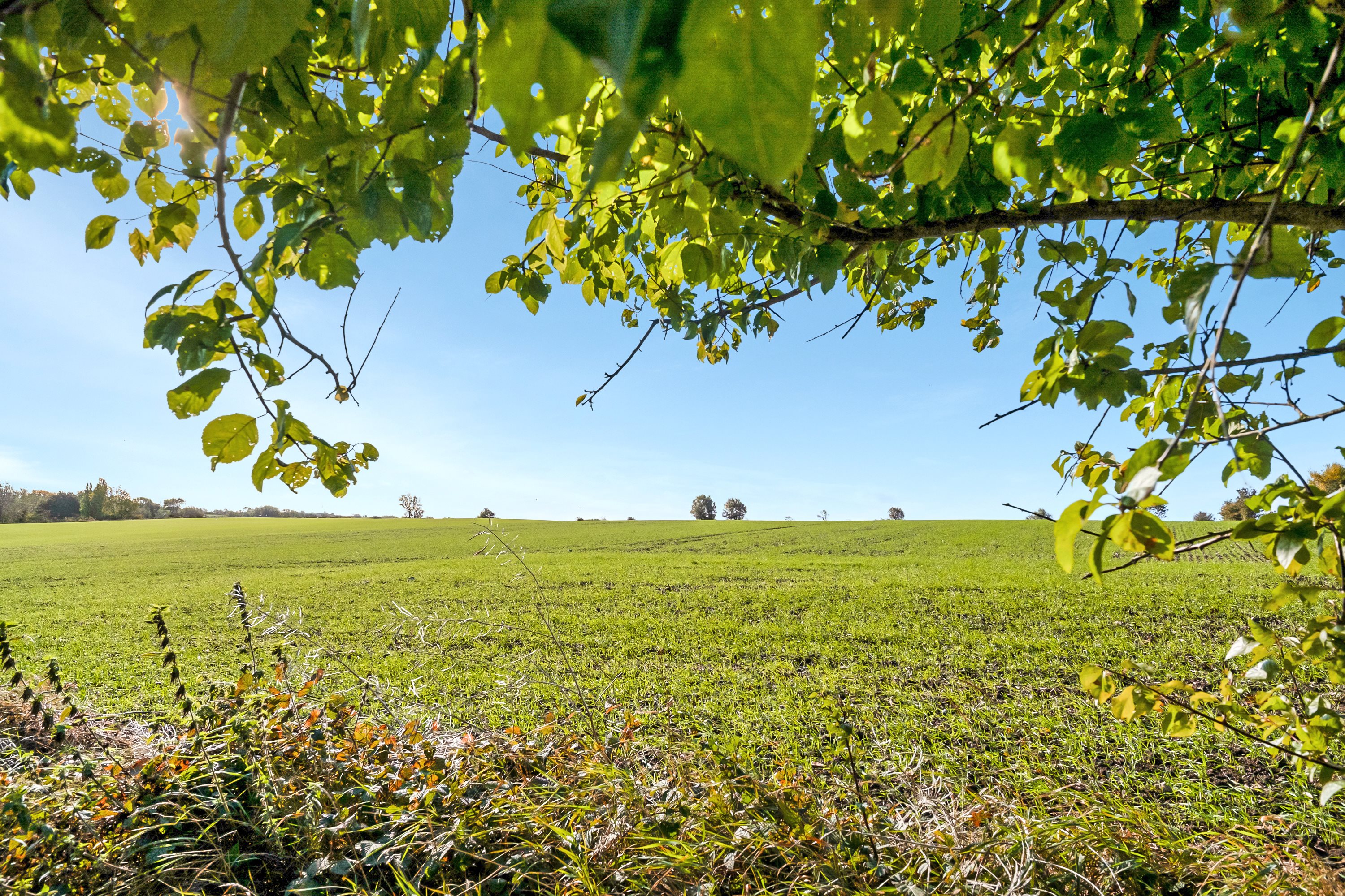 Fremhævet udsigt  billede i fuldskærmstilstand. Billede af Gammelløkkevej 1, 5985 Søby Ærø