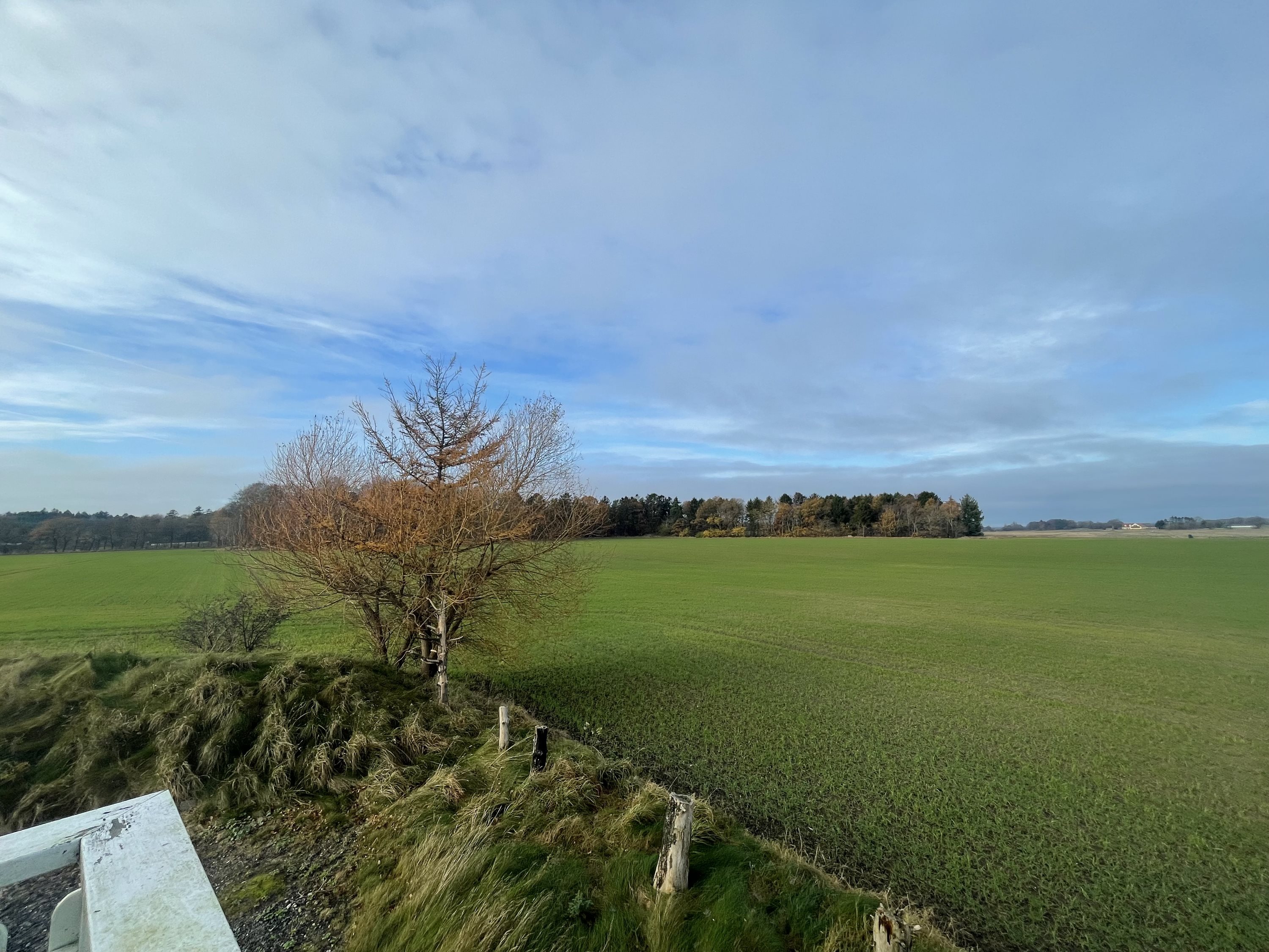 Fremhævet  billede i fuldskærmstilstand. Billede af Føltvedvej 12, Øster Hassing, 9362 Gandrup