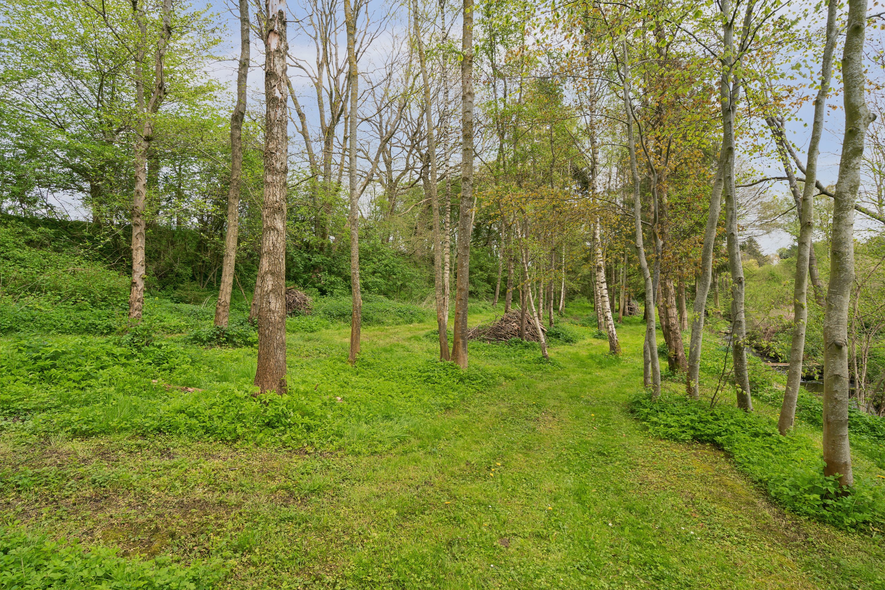 Fremhævet have billede i fuldskærmstilstand. Billede af Nyborgvej 510, 5881 Skårup Fyn