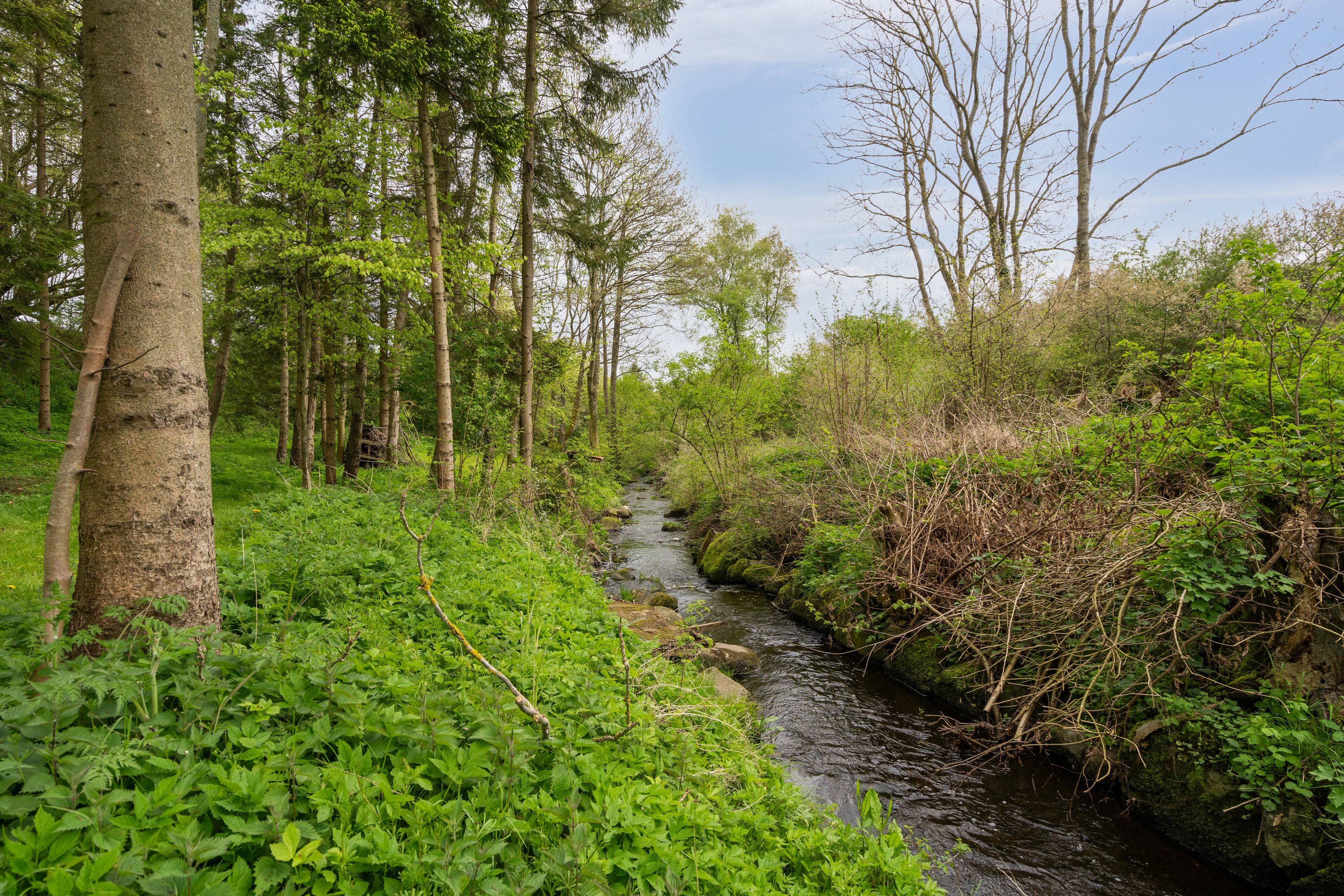 Miniaturebillede 1: område . Billede af Nyborgvej 510, 5881 Skårup Fyn