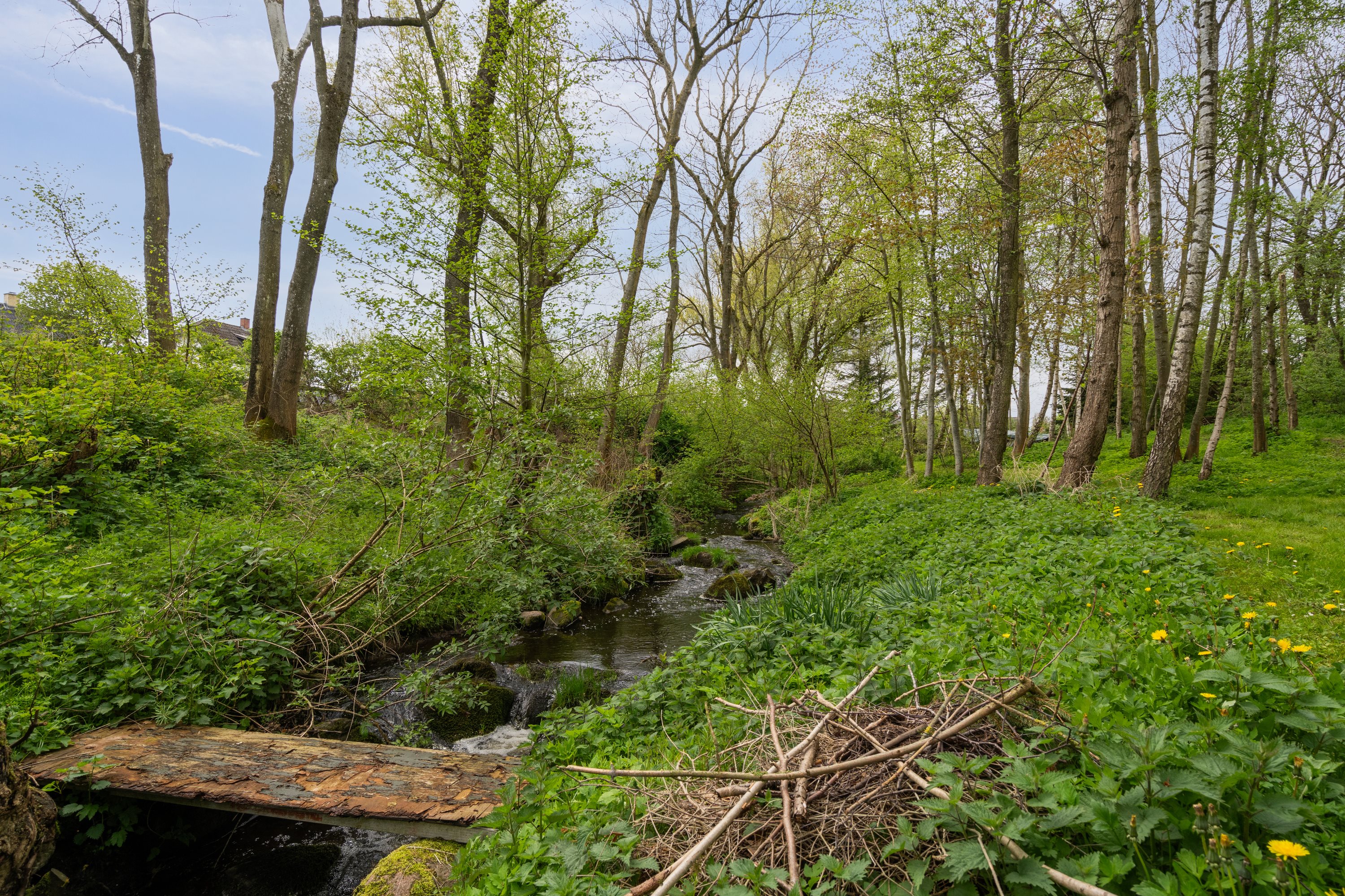 Fremhævet have billede i fuldskærmstilstand. Billede af Nyborgvej 510, 5881 Skårup Fyn