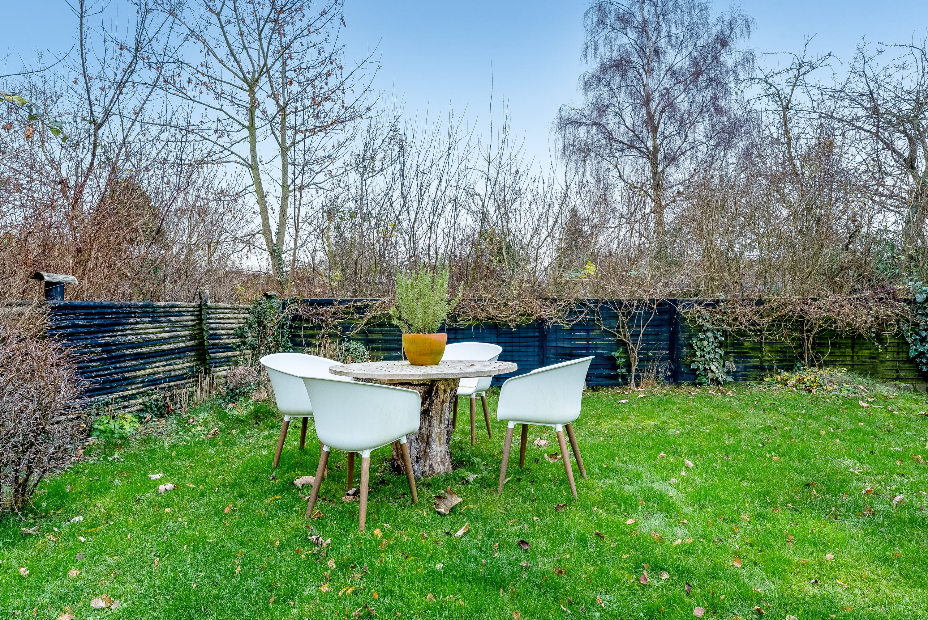 Miniaturebillede 2: have. Billede af Hovedgaden 40, 4920 Søllested