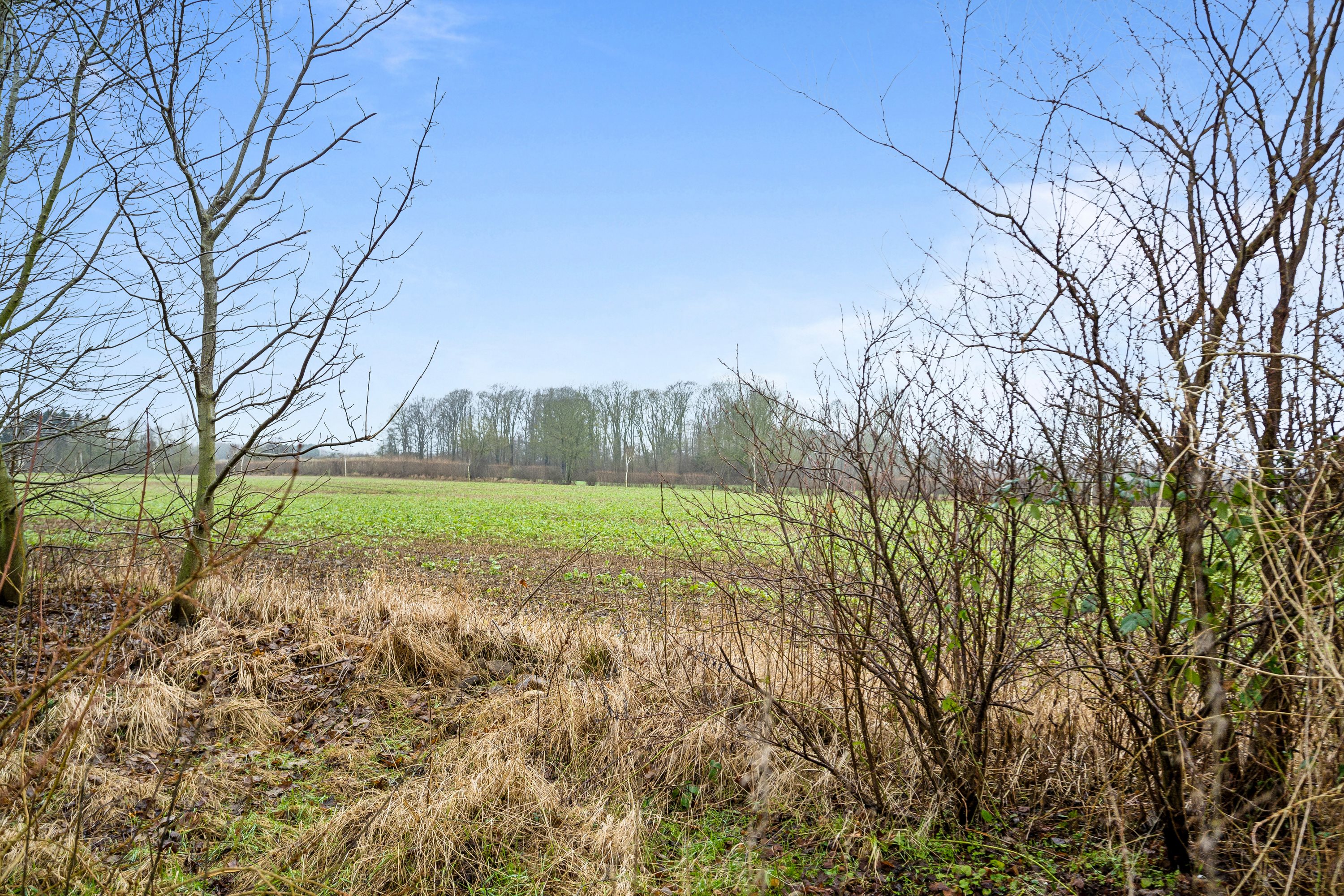 Fremhævet  billede i fuldskærmstilstand. Billede af Allestedgårdsvej 59, 5672 Broby