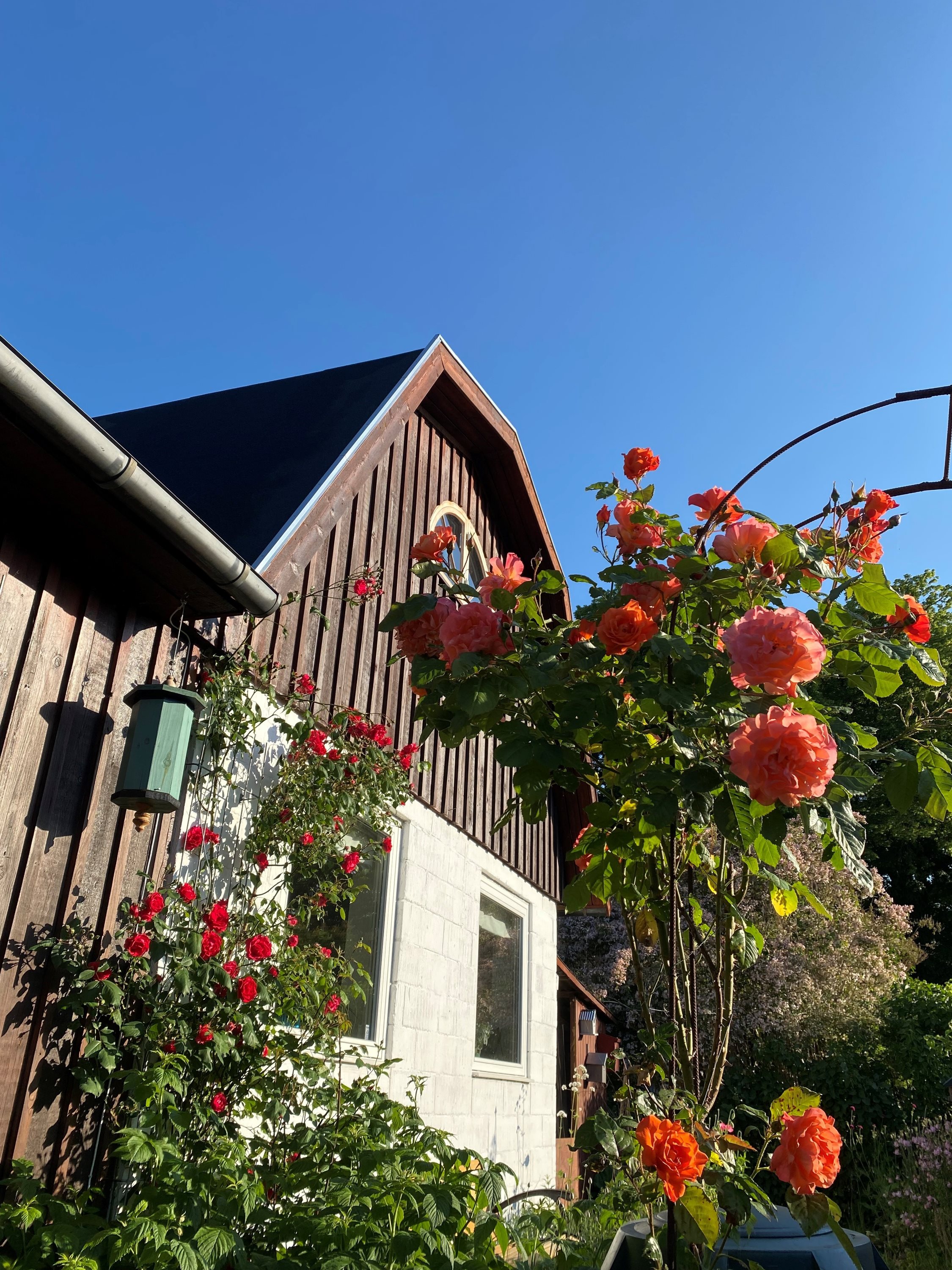 Fremhævet  billede i fuldskærmstilstand. Billede af Hf. Rosenvang 18, 2700 Brønshøj