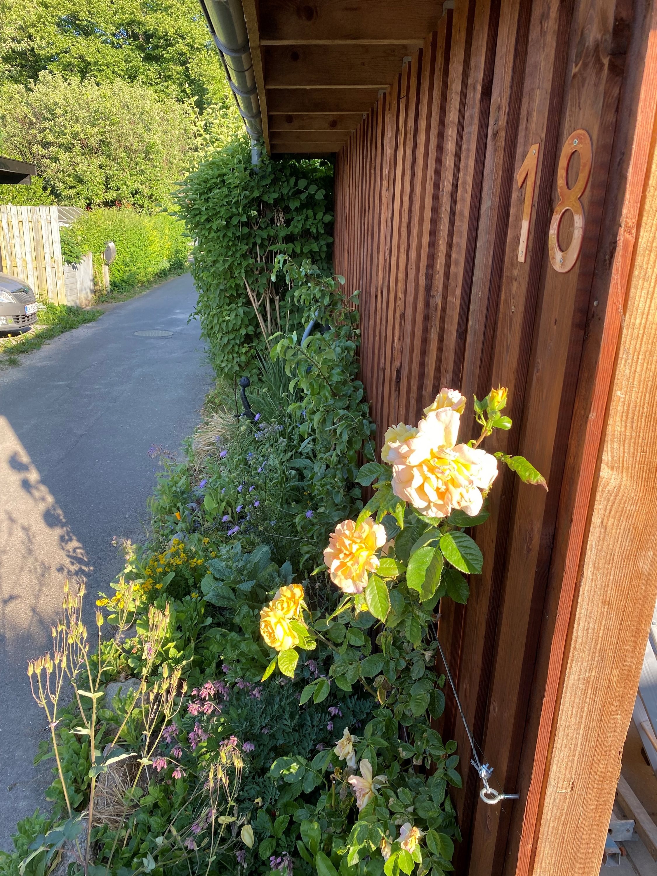 Fremhævet  billede i fuldskærmstilstand. Billede af Hf. Rosenvang 18, 2700 Brønshøj