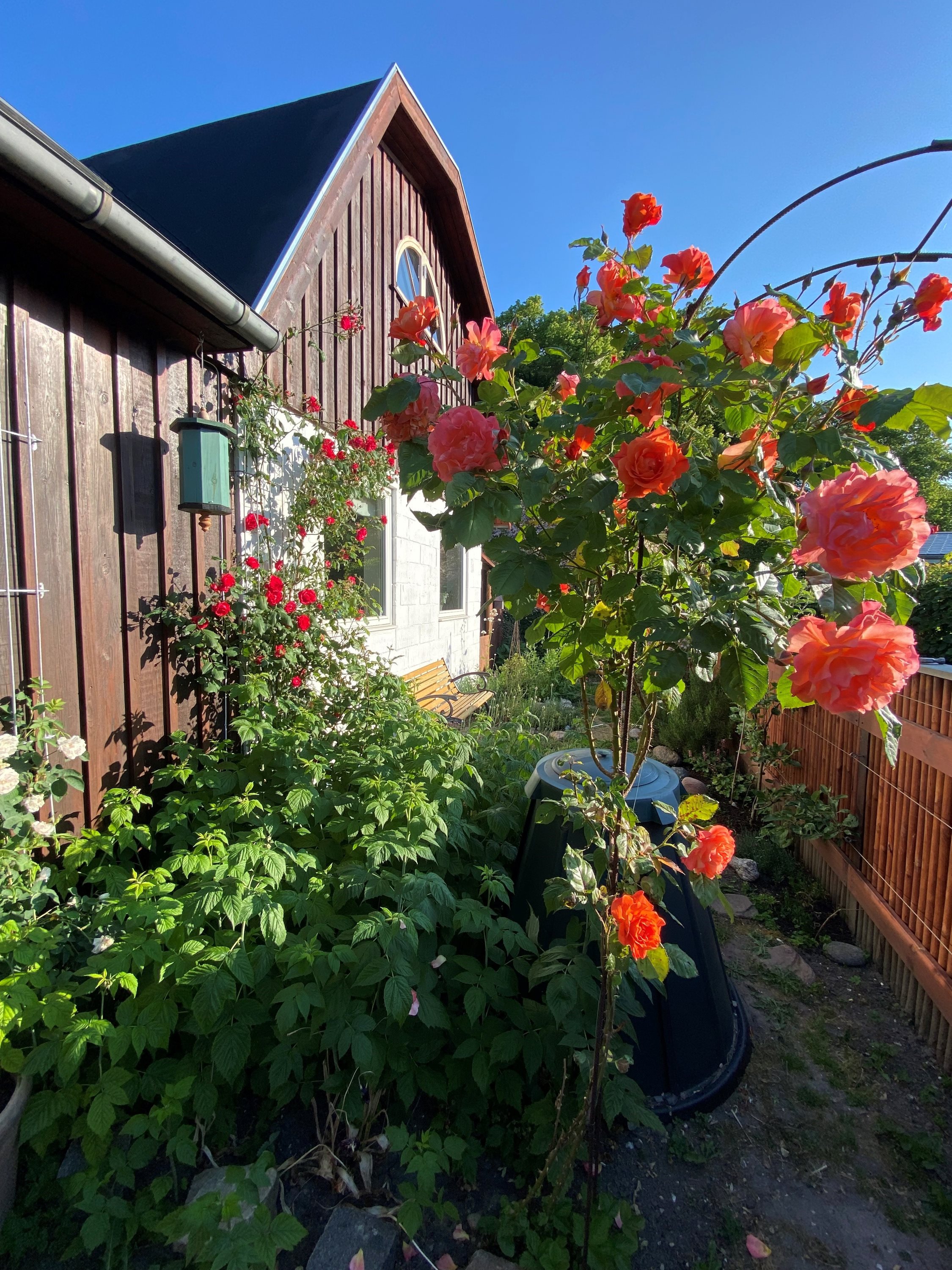 Fremhævet  billede i fuldskærmstilstand. Billede af Hf. Rosenvang 18, 2700 Brønshøj