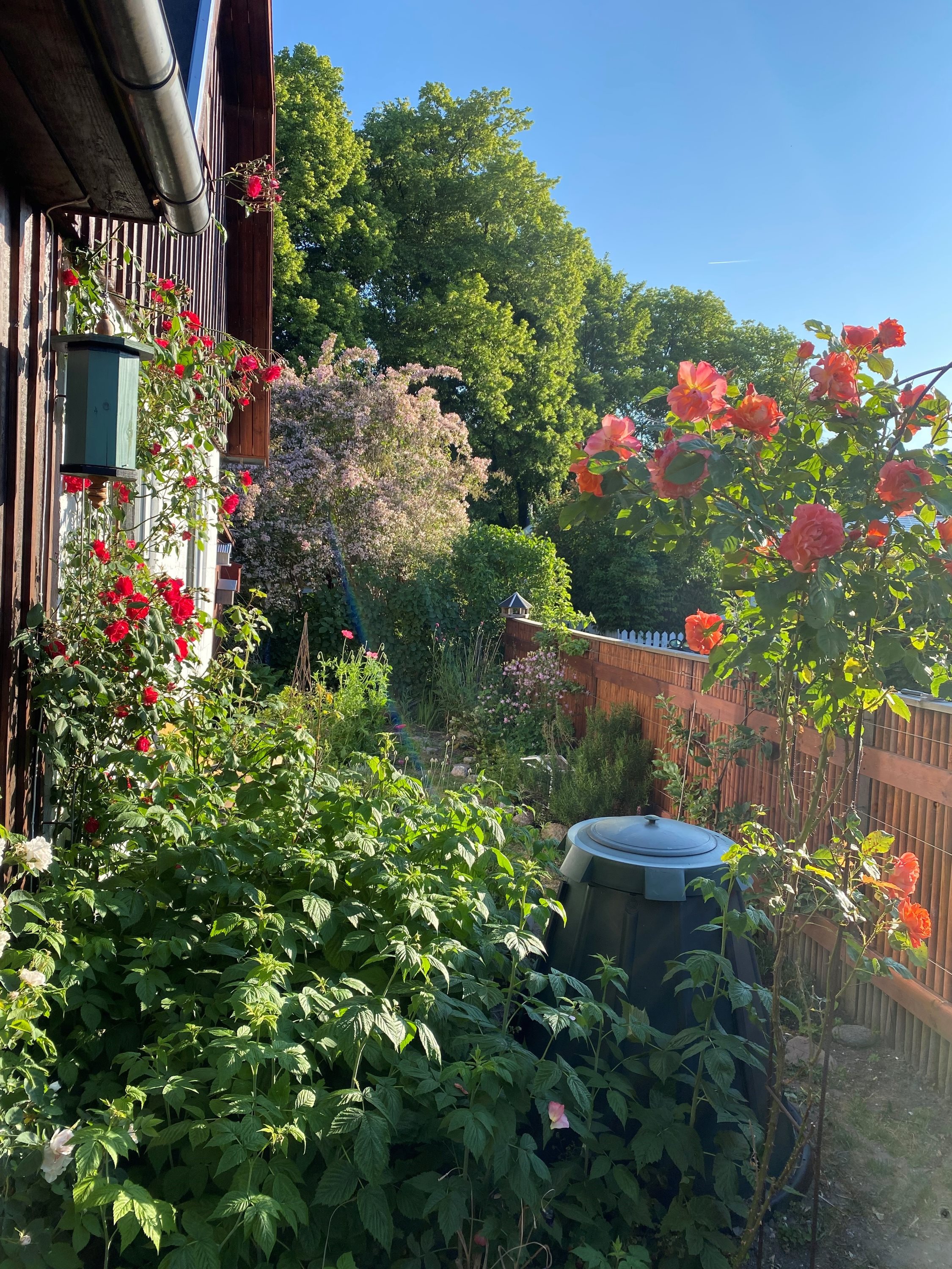 Fremhævet  billede i fuldskærmstilstand. Billede af Hf. Rosenvang 18, 2700 Brønshøj