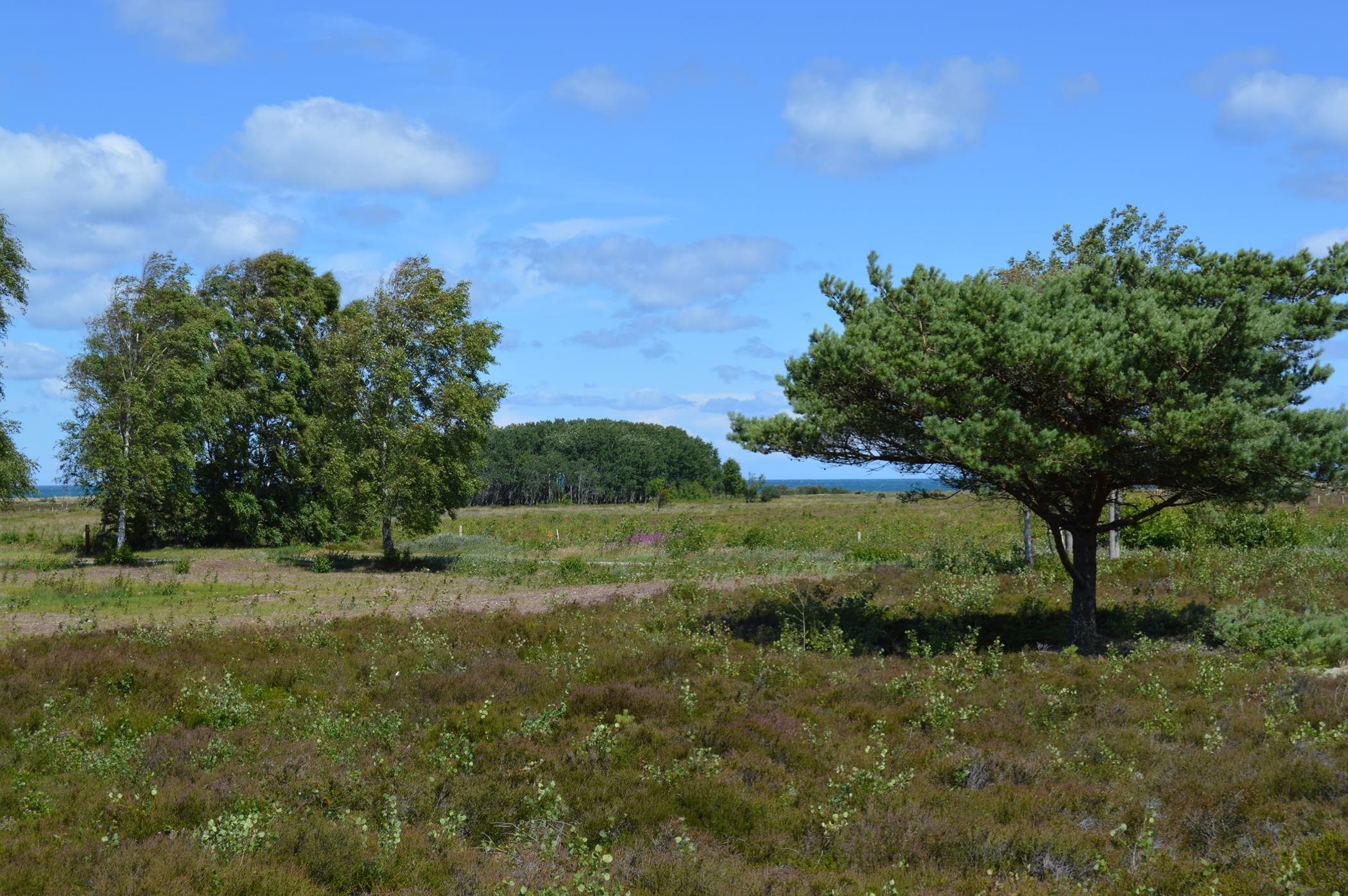 Fremhævet  billede i fuldskærmstilstand. Billede af Jenses Jolle 33, Nordmarken, 9940 Læsø