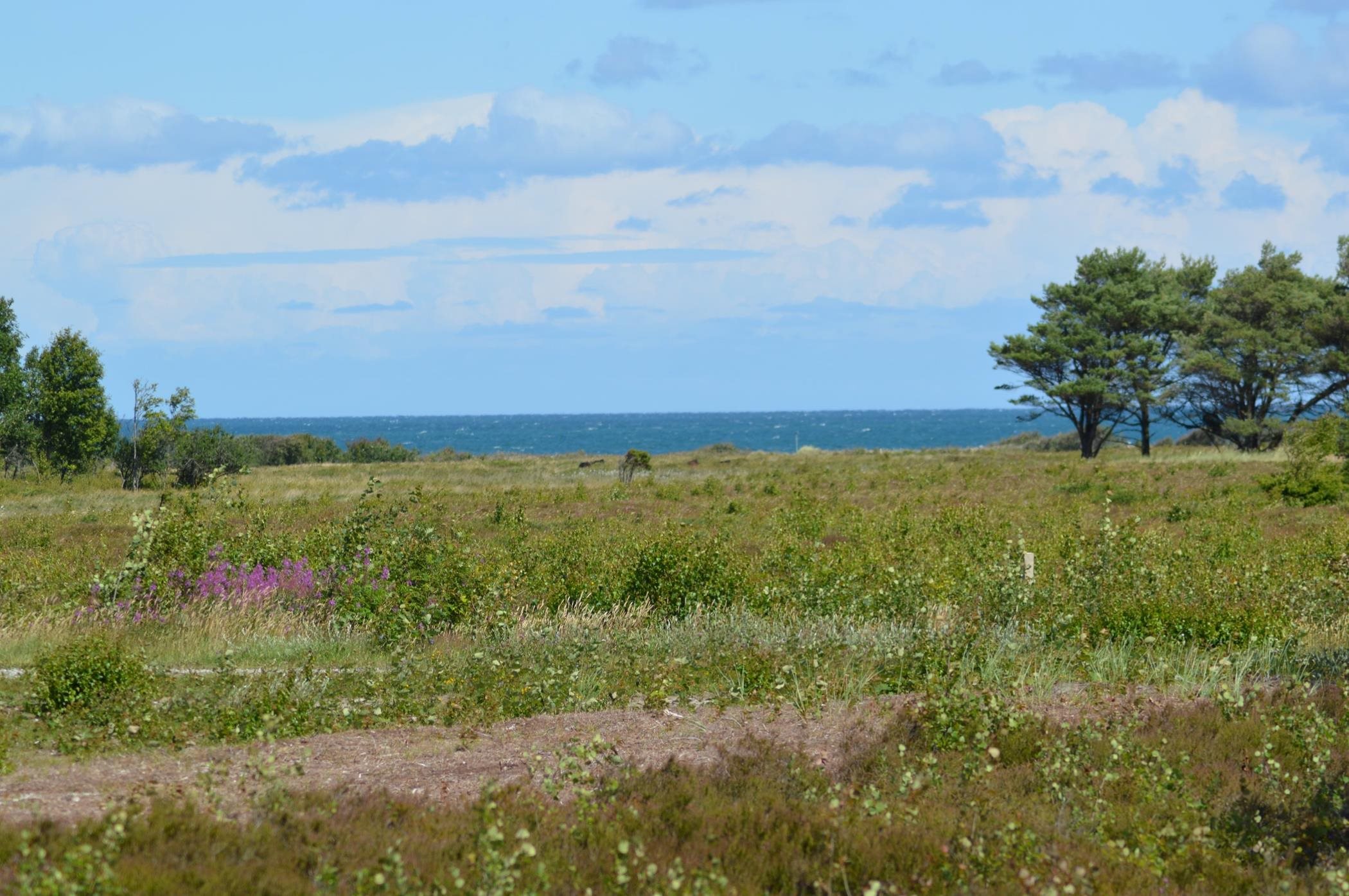 Fremhævet  billede i fuldskærmstilstand. Billede af Jenses Jolle 33, Nordmarken, 9940 Læsø