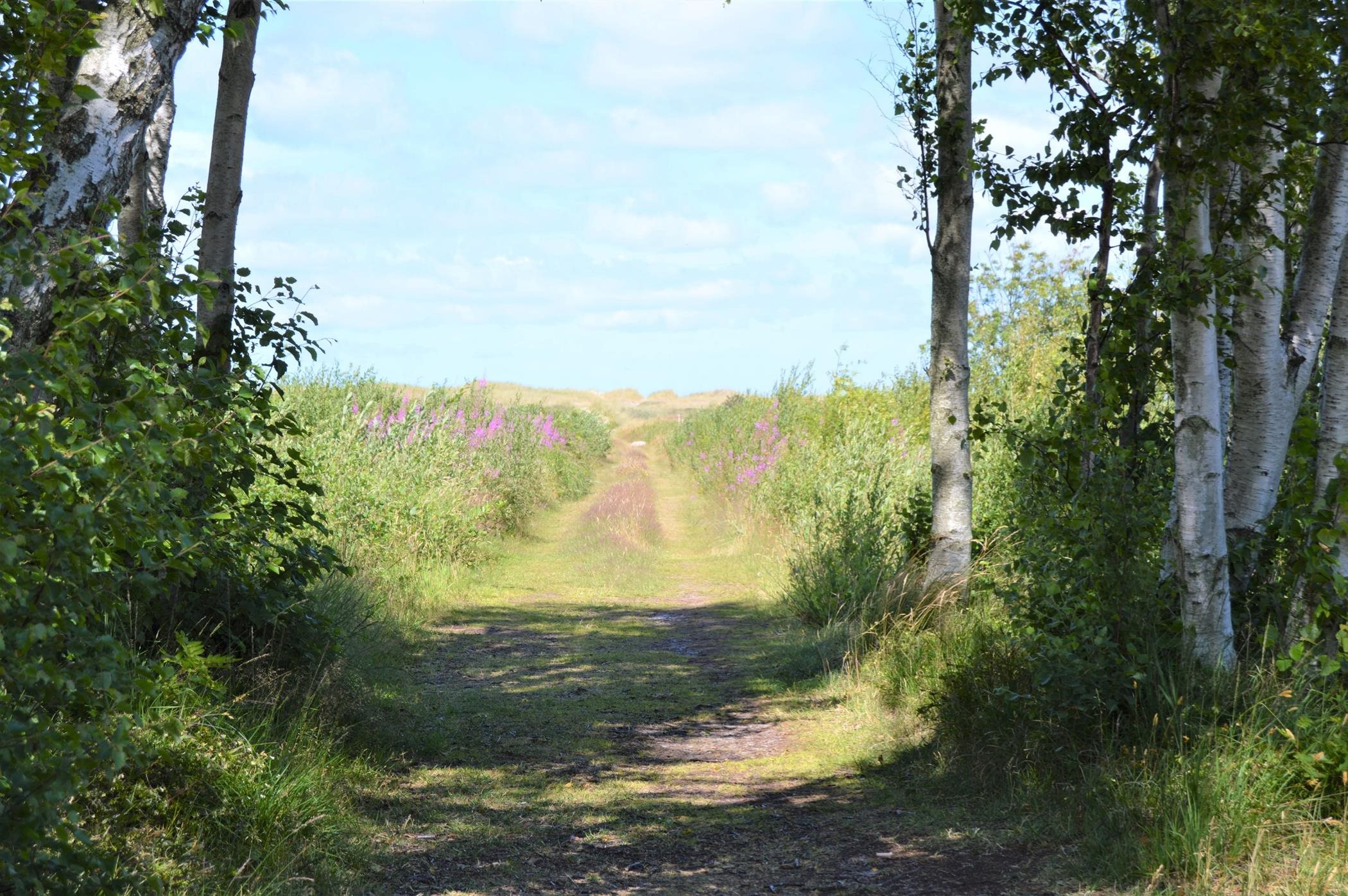 Fremhævet  billede i fuldskærmstilstand. Billede af Jenses Jolle 33, Nordmarken, 9940 Læsø