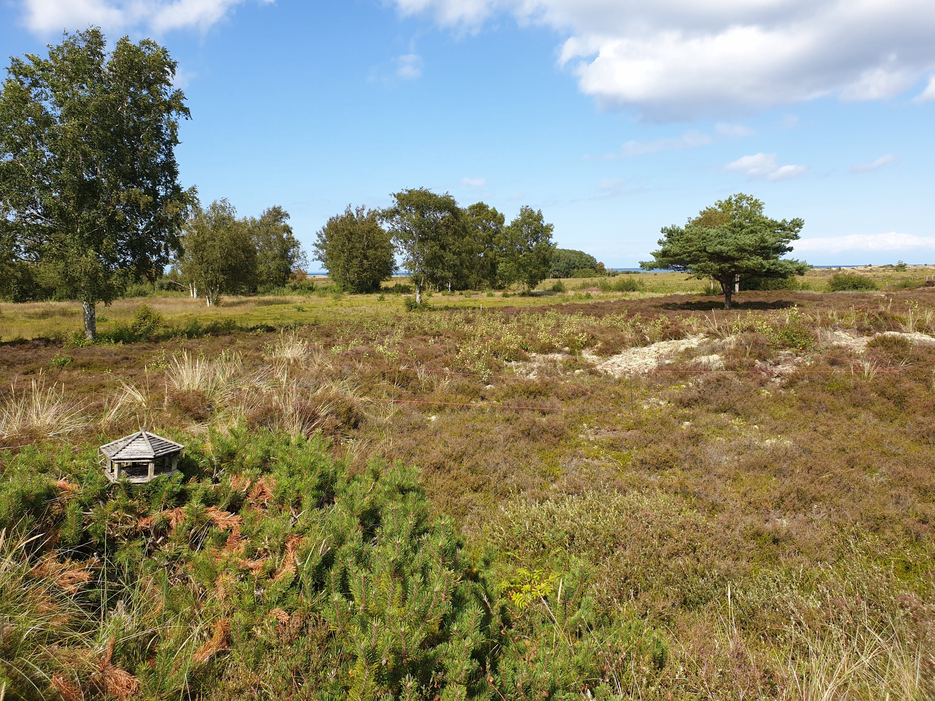 Fritidsgrund på Jenses Jolle 33, Nordmarken, 9940 Læsø