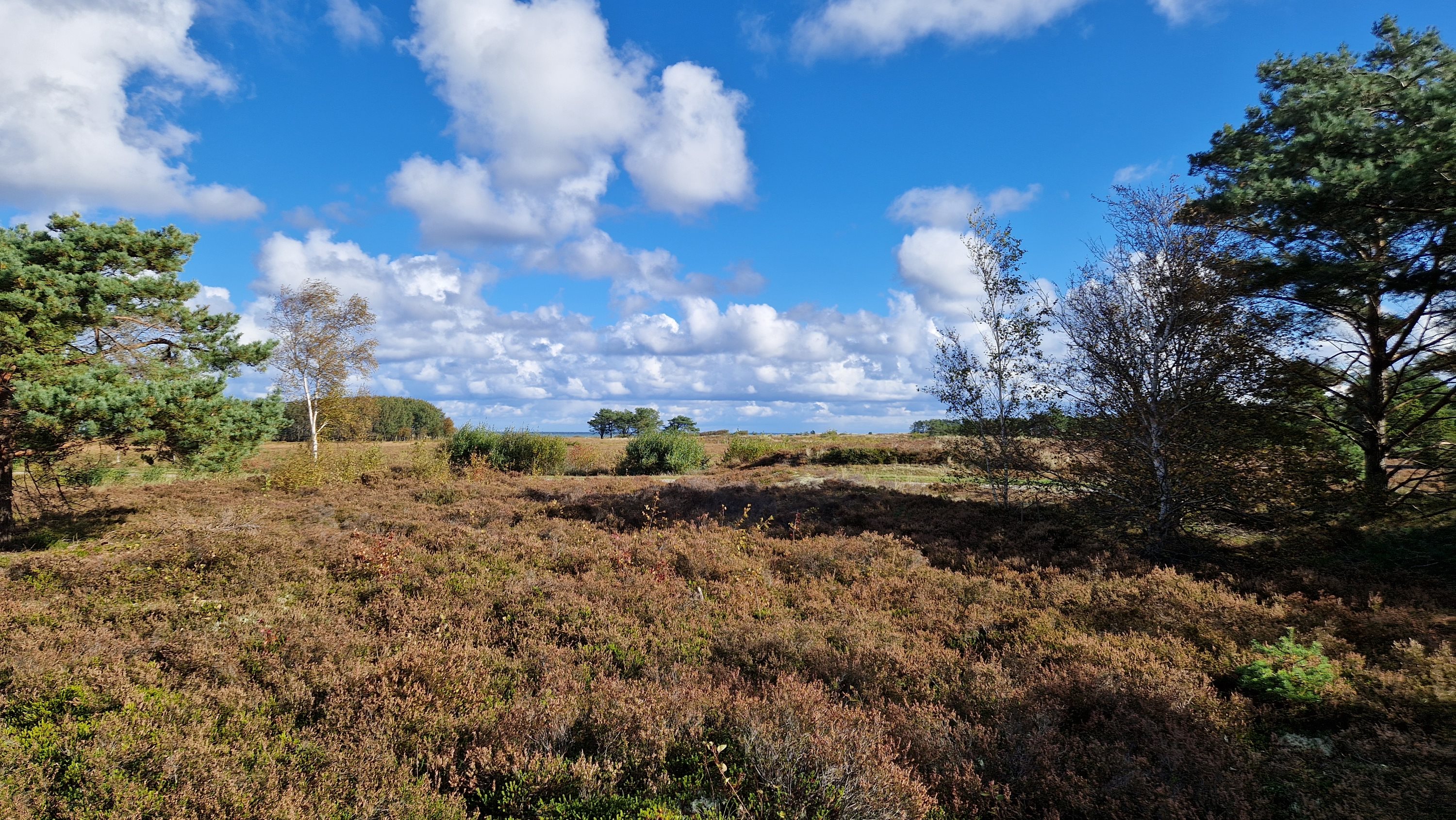 Miniaturebillede 2: . Billede af Jenses Jolle 33, Nordmarken, 9940 Læsø