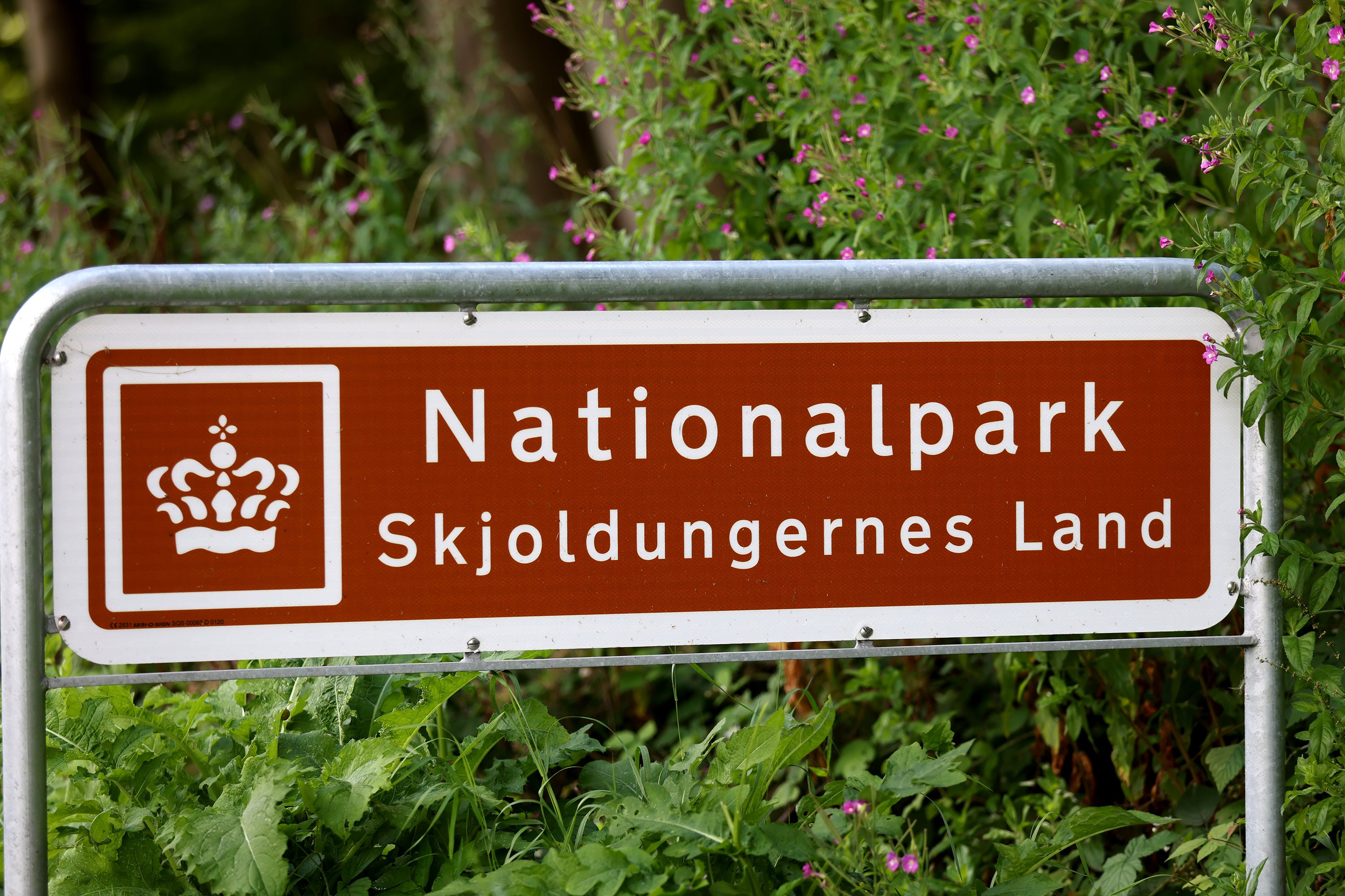 Fremhævet  billede i fuldskærmstilstand. Billede af Bausager 6, Gevninge, 4000 Roskilde