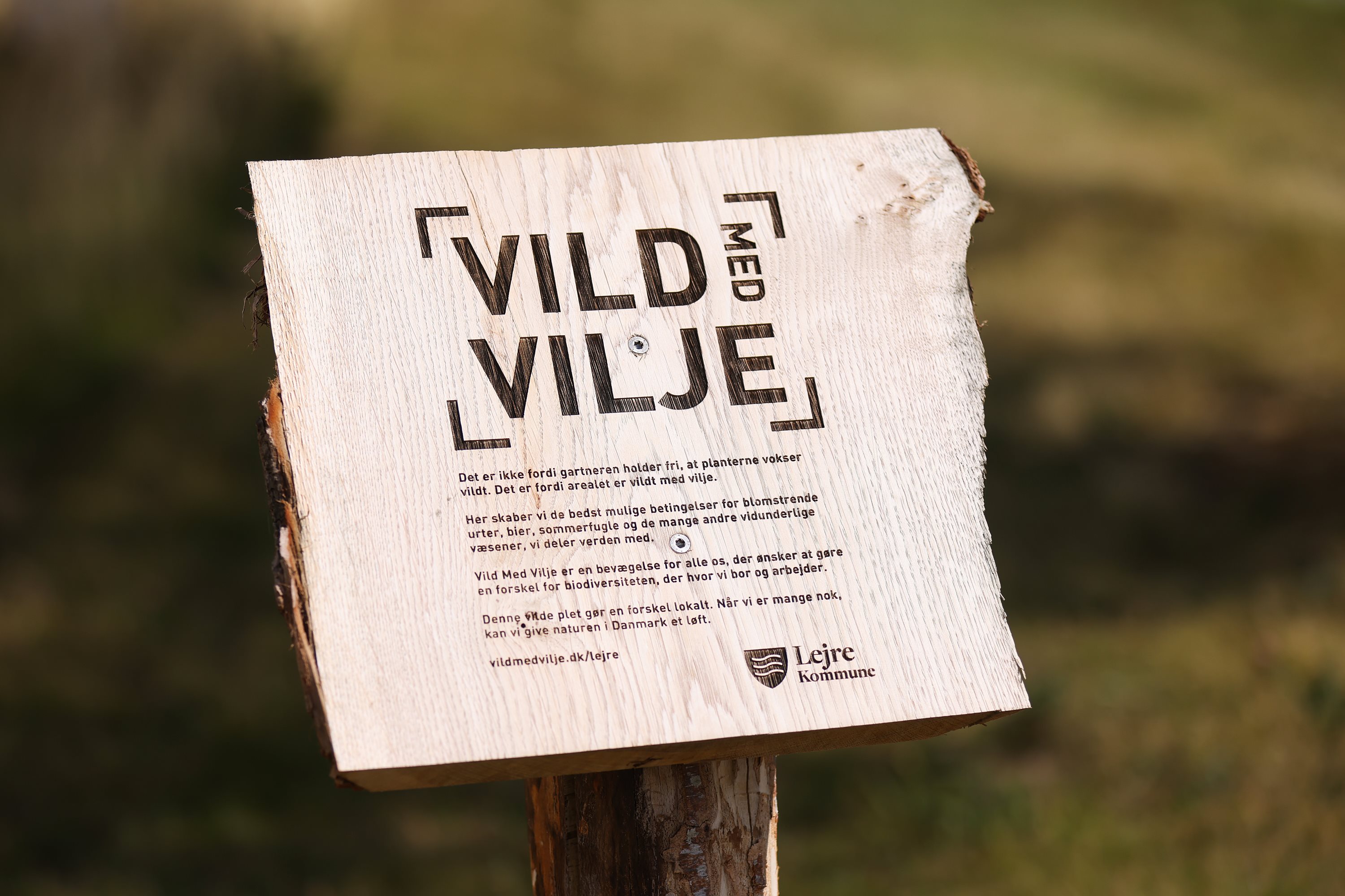 Fremhævet  billede i fuldskærmstilstand. Billede af Bausager 6, Gevninge, 4000 Roskilde